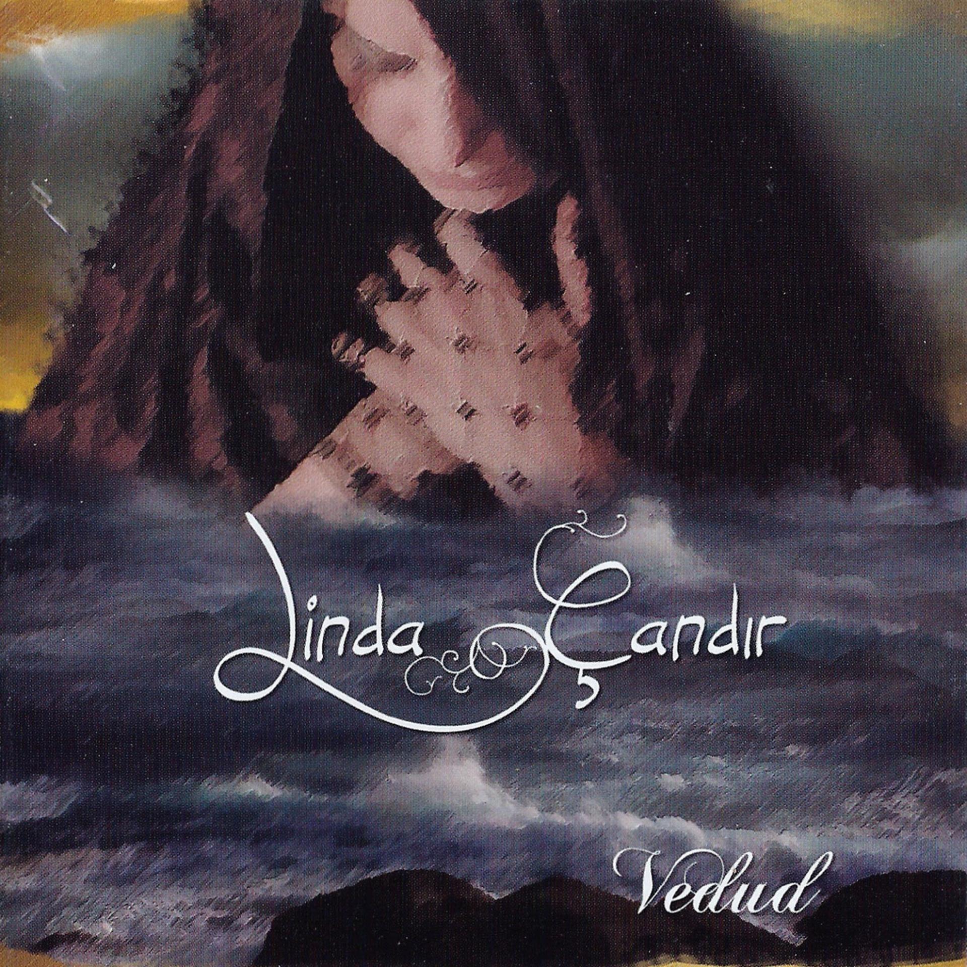 Постер альбома Vedud