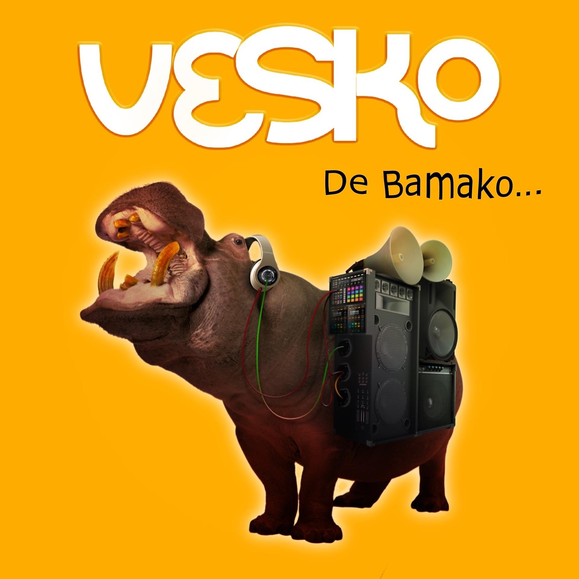 Постер альбома De Bamako...