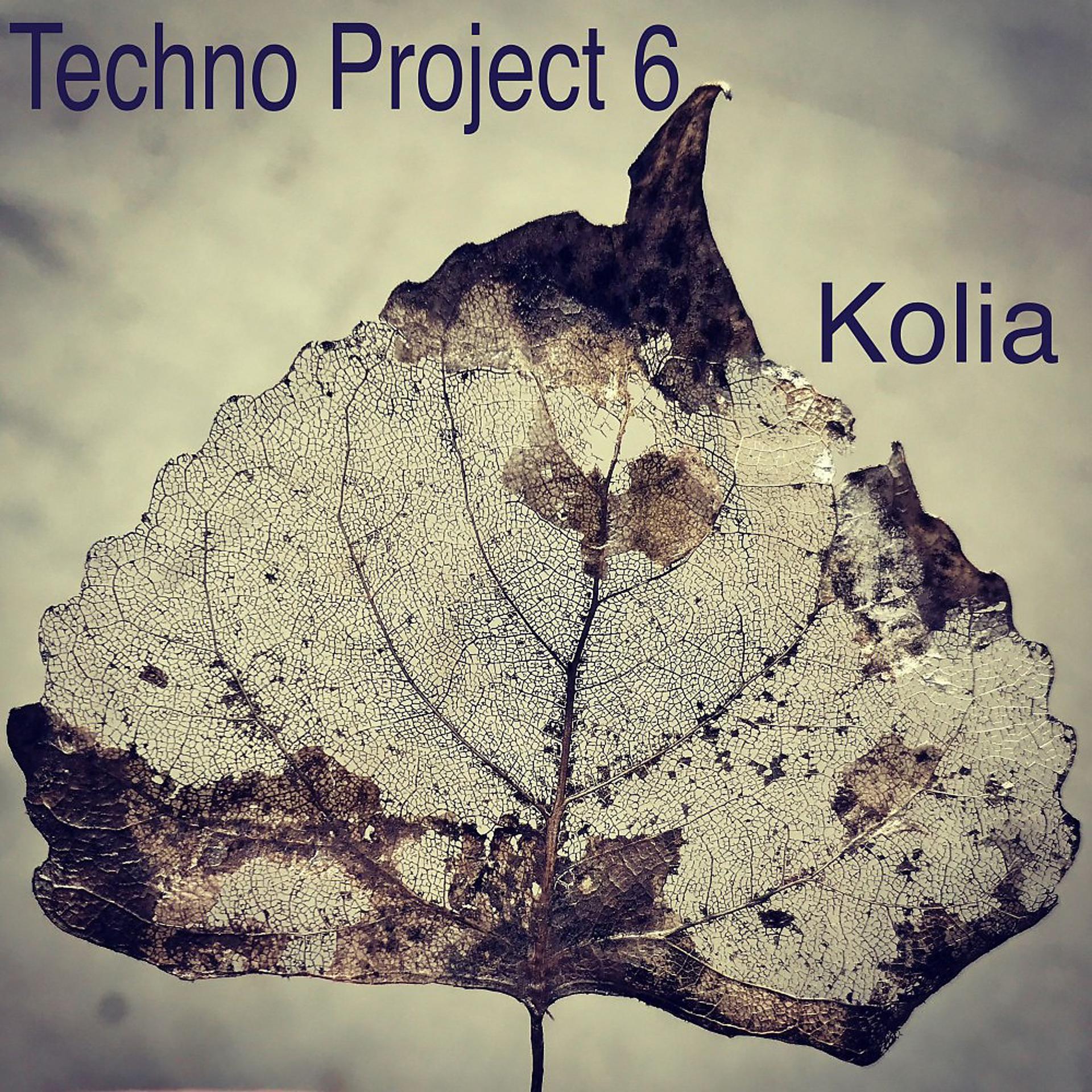 Постер альбома Techno Project 6