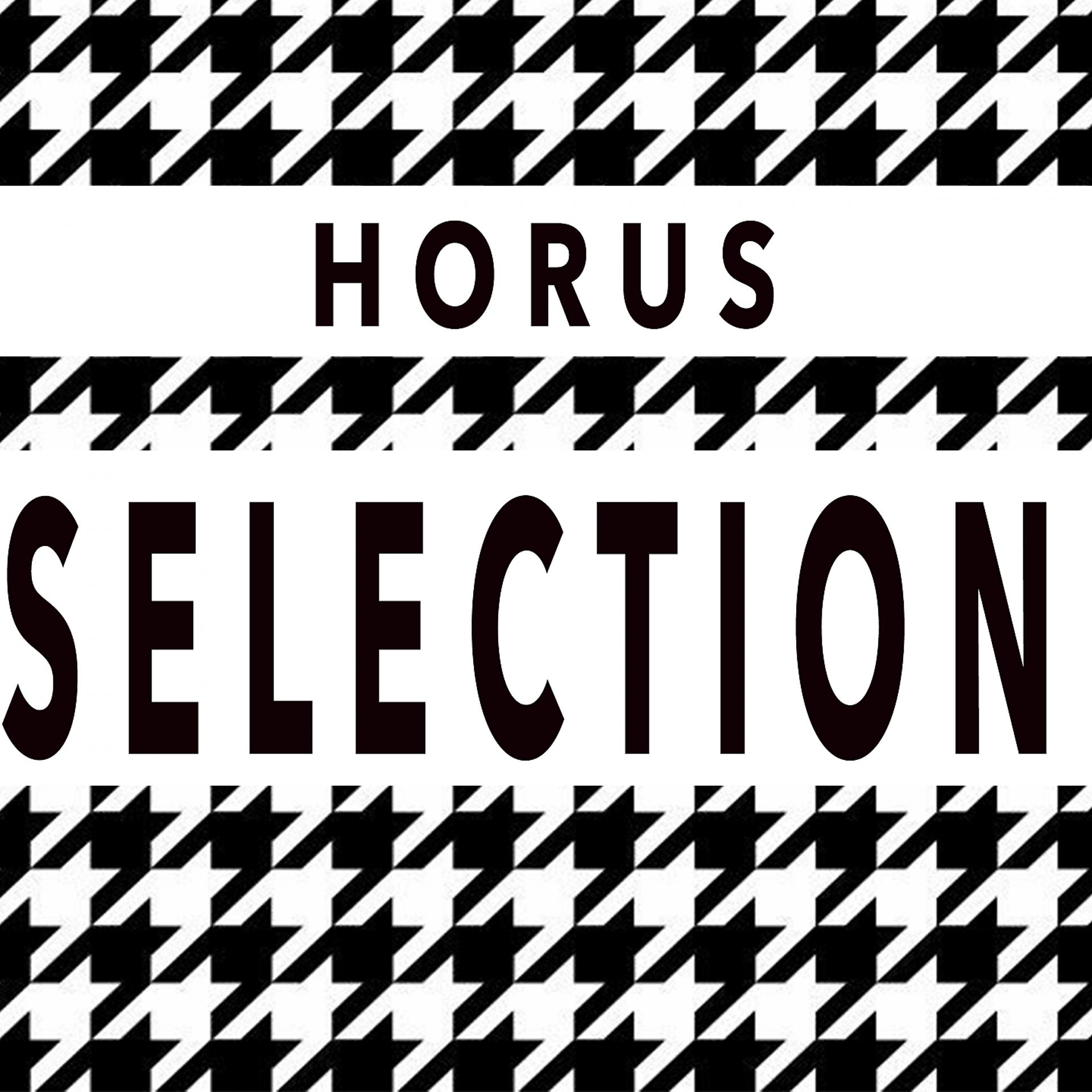 Постер альбома Horus Selection