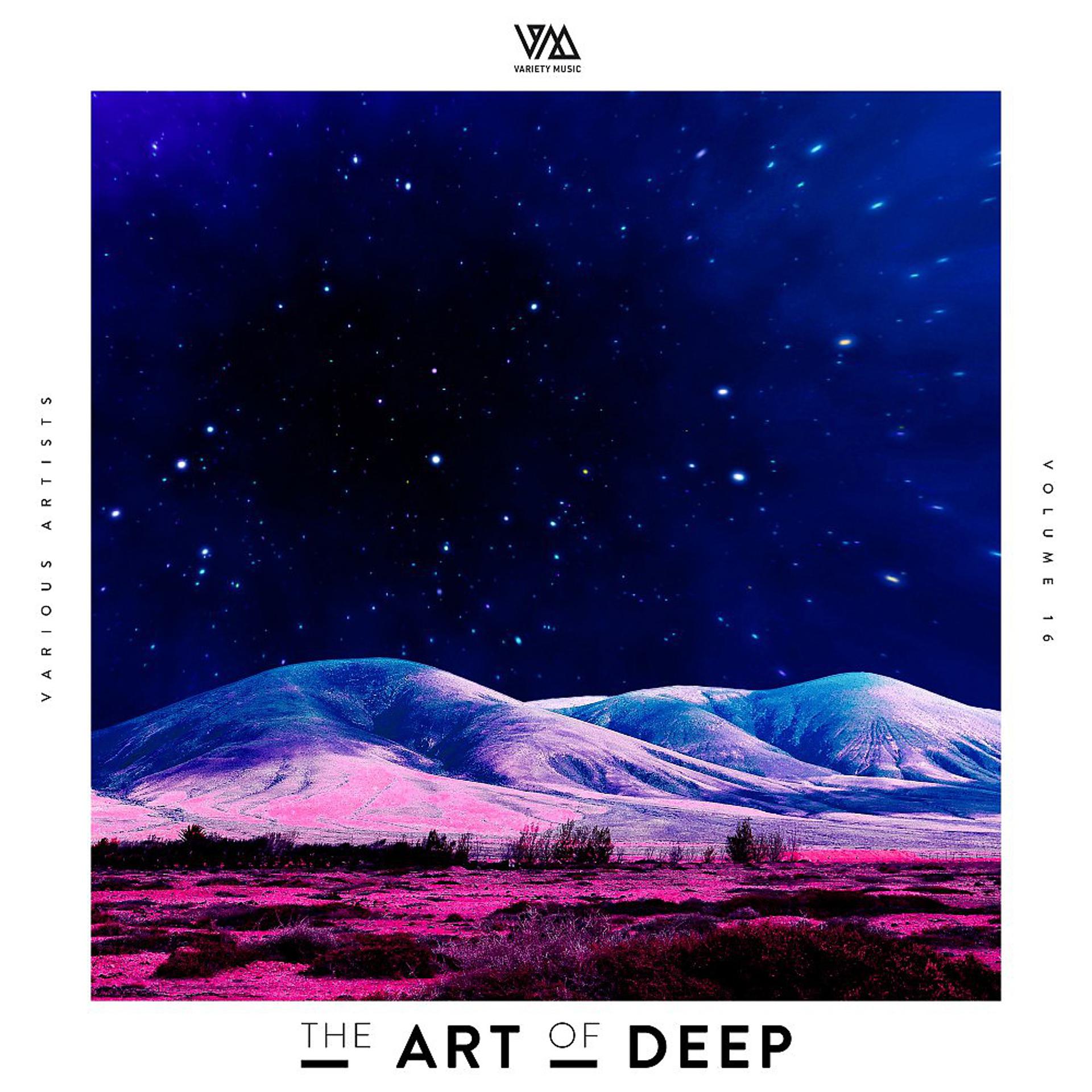 Постер альбома The Art of Deep, Vol. 16