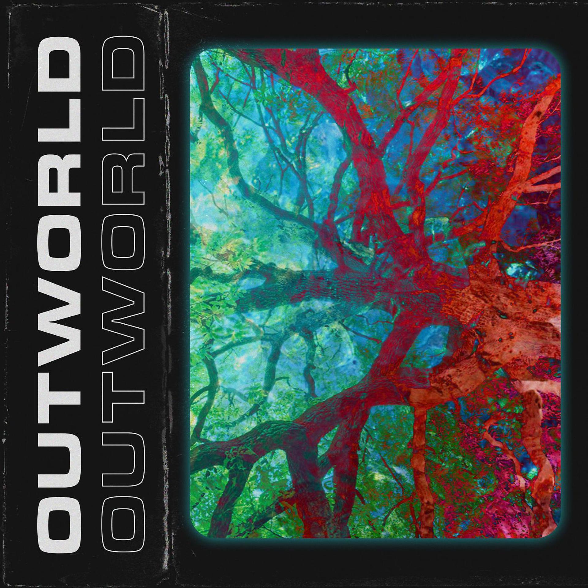 Постер альбома Outworld