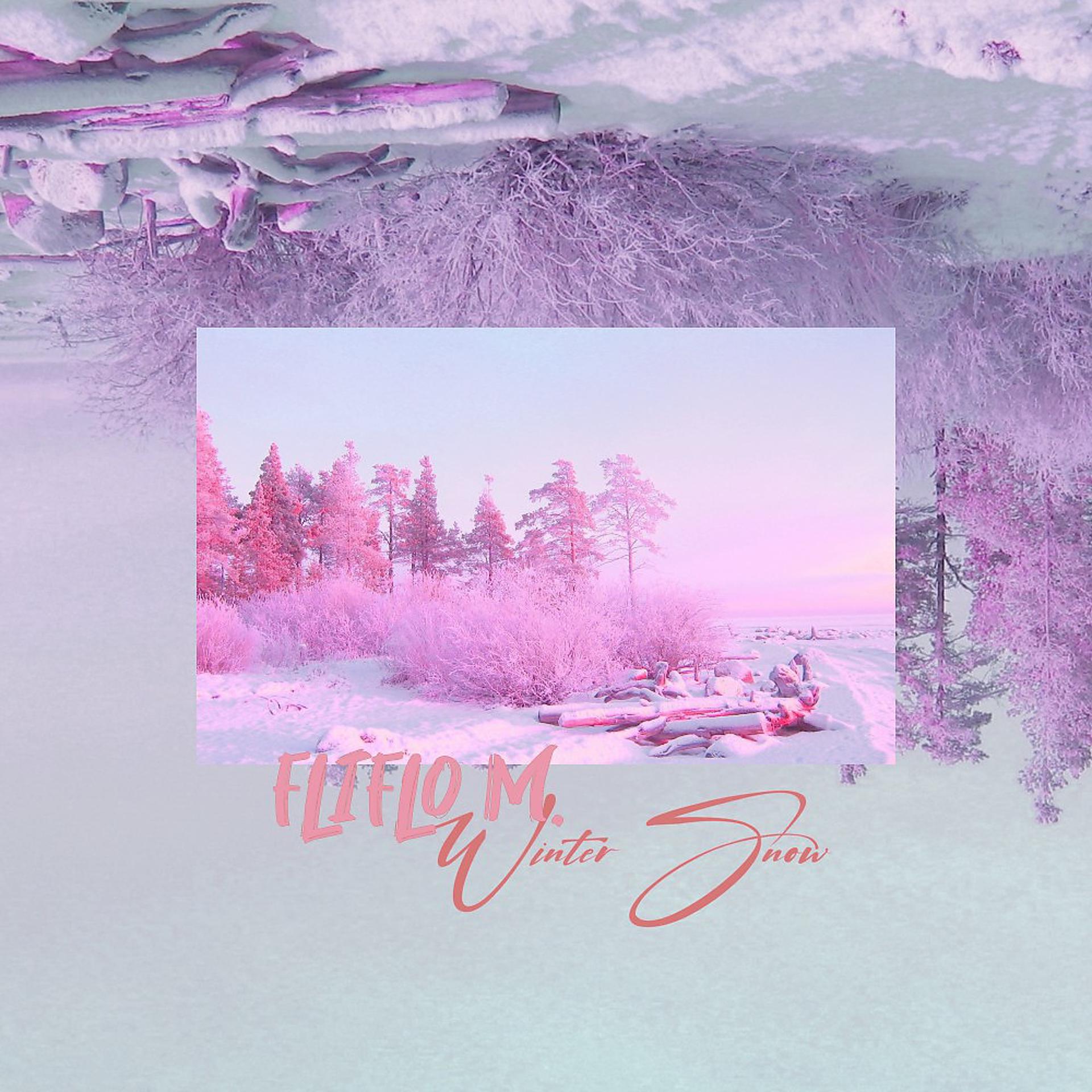 Постер альбома Winter Snow