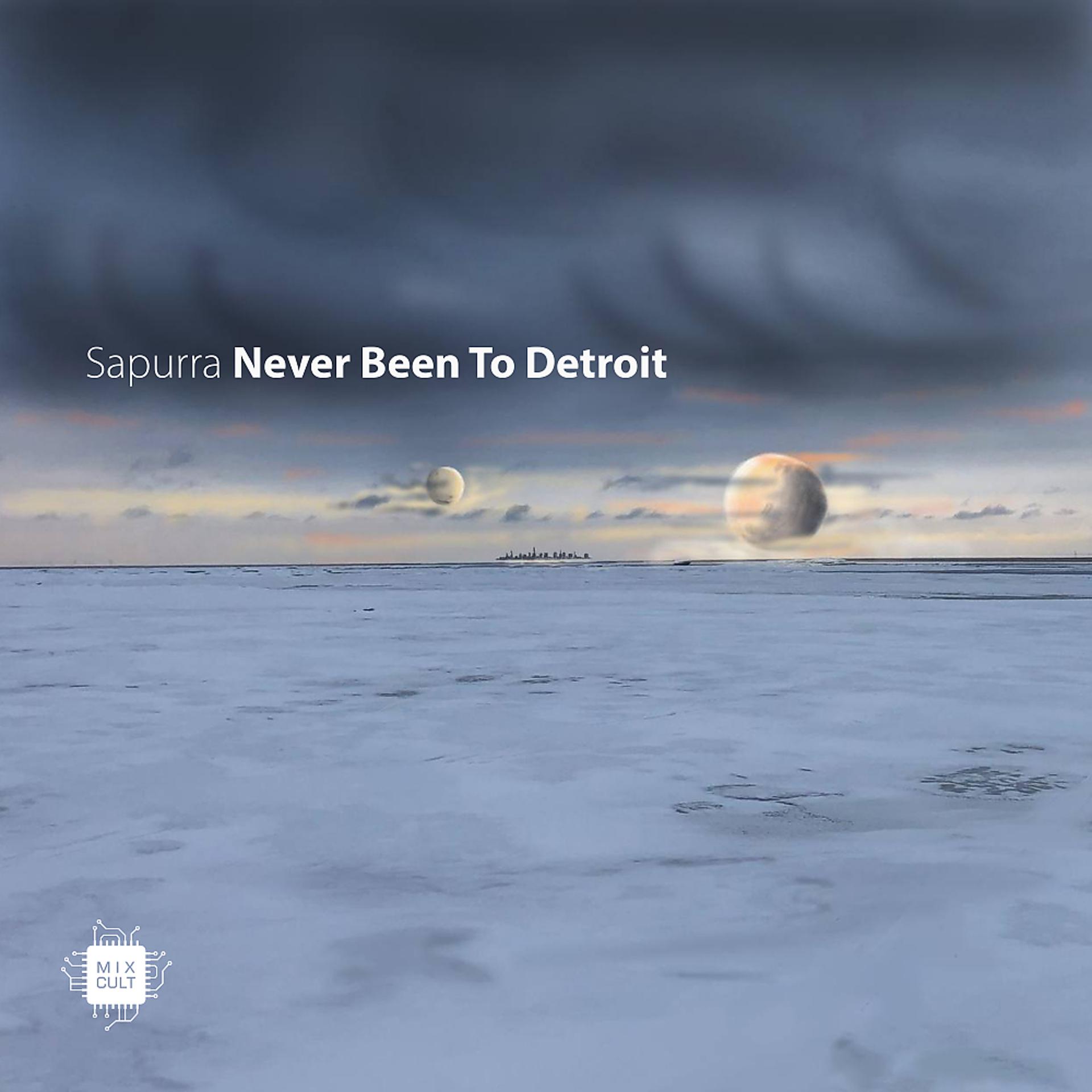 Постер альбома Never Been To Detroit