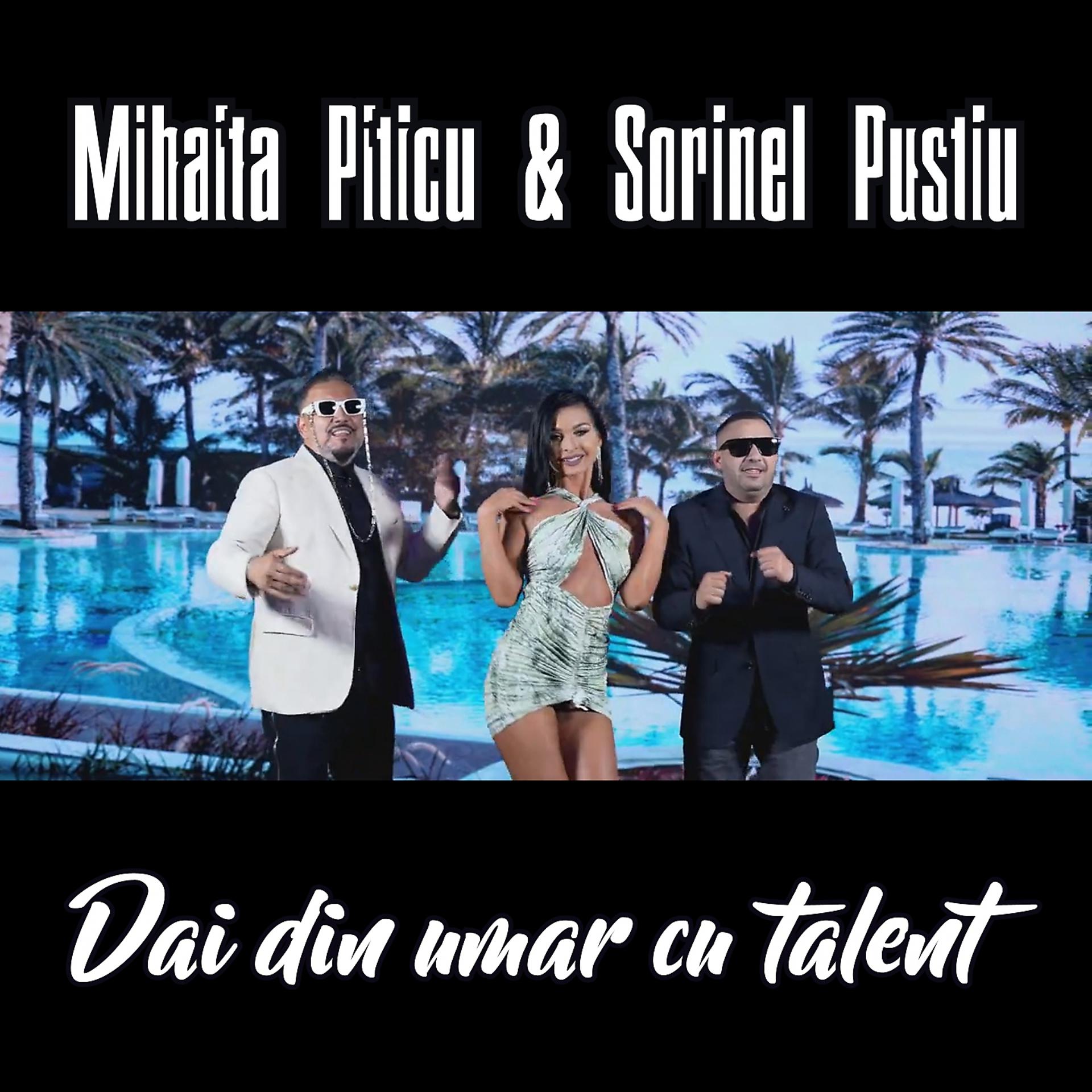 Постер к треку Mihaita Piticu, Sorinel Pustiu - Dai din umar cu talent