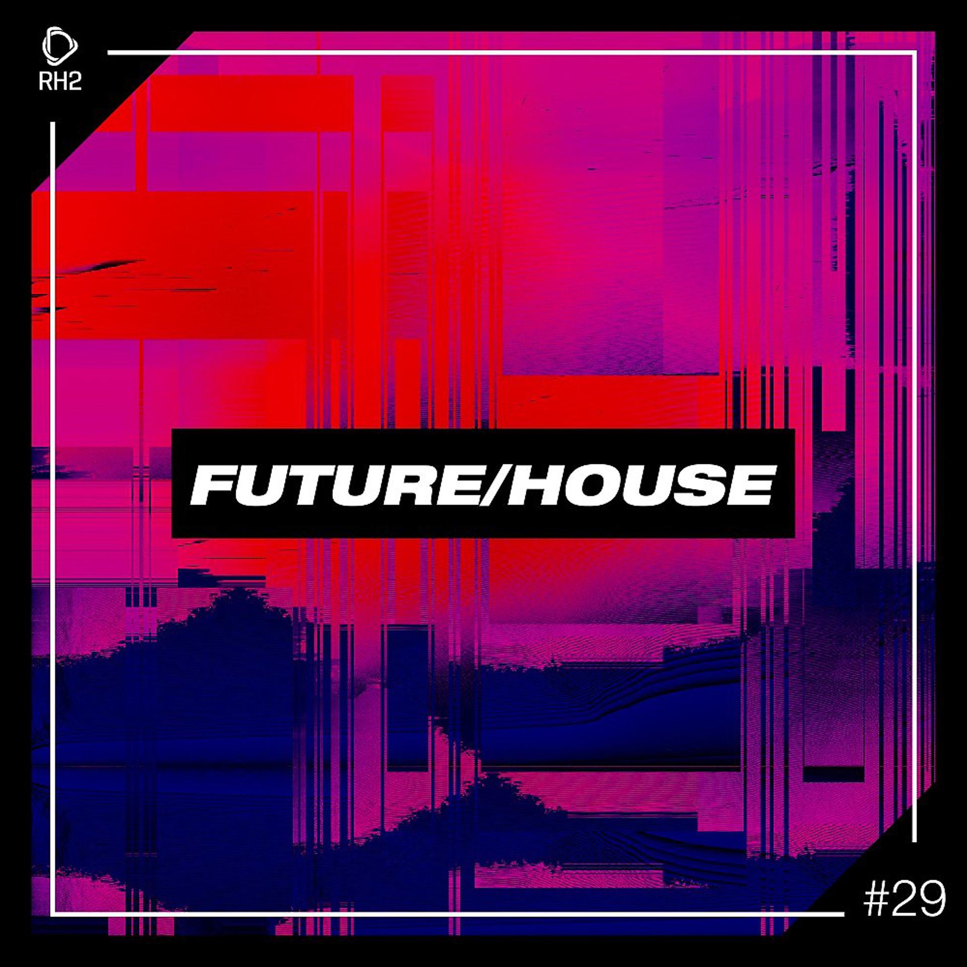 Постер альбома Future/House #29
