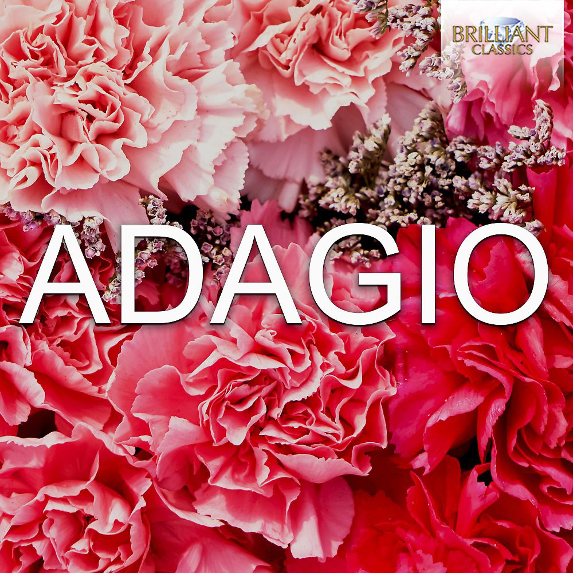 Постер альбома Albinoni: Adagio