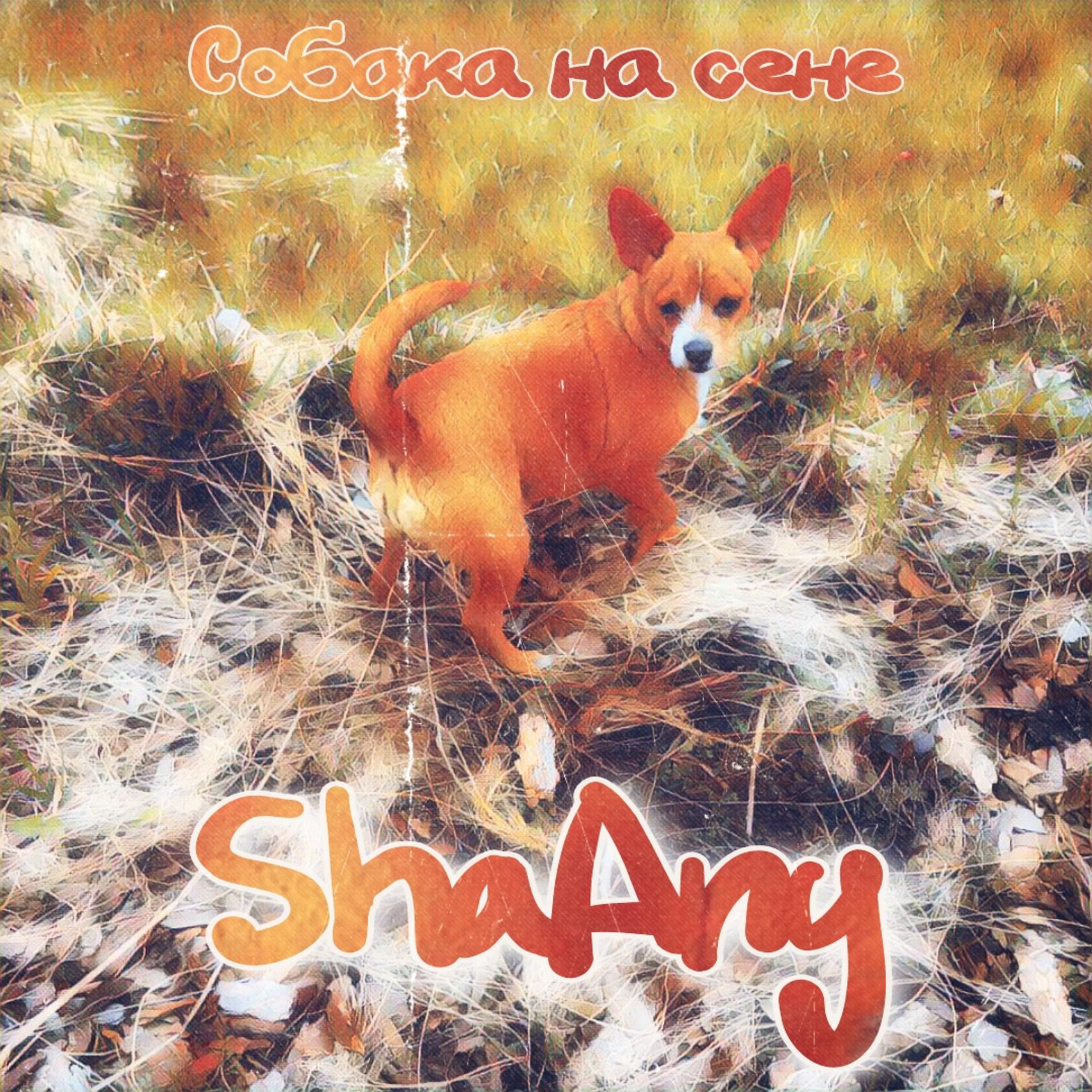 Постер альбома Собака на сене (Prod. by GAME OVER Records)