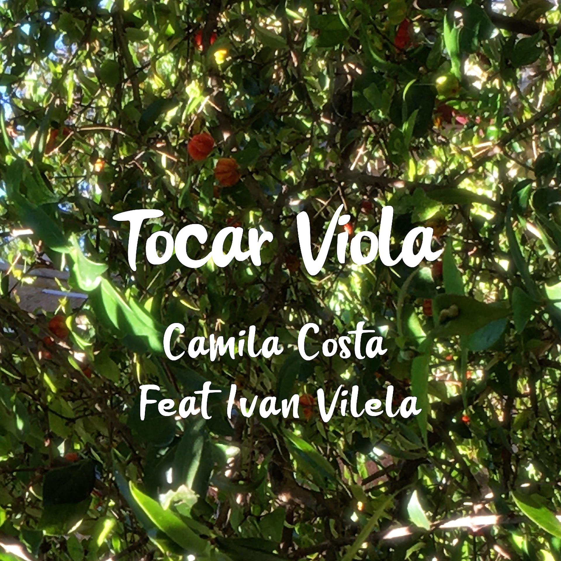 Постер альбома Tocar Viola