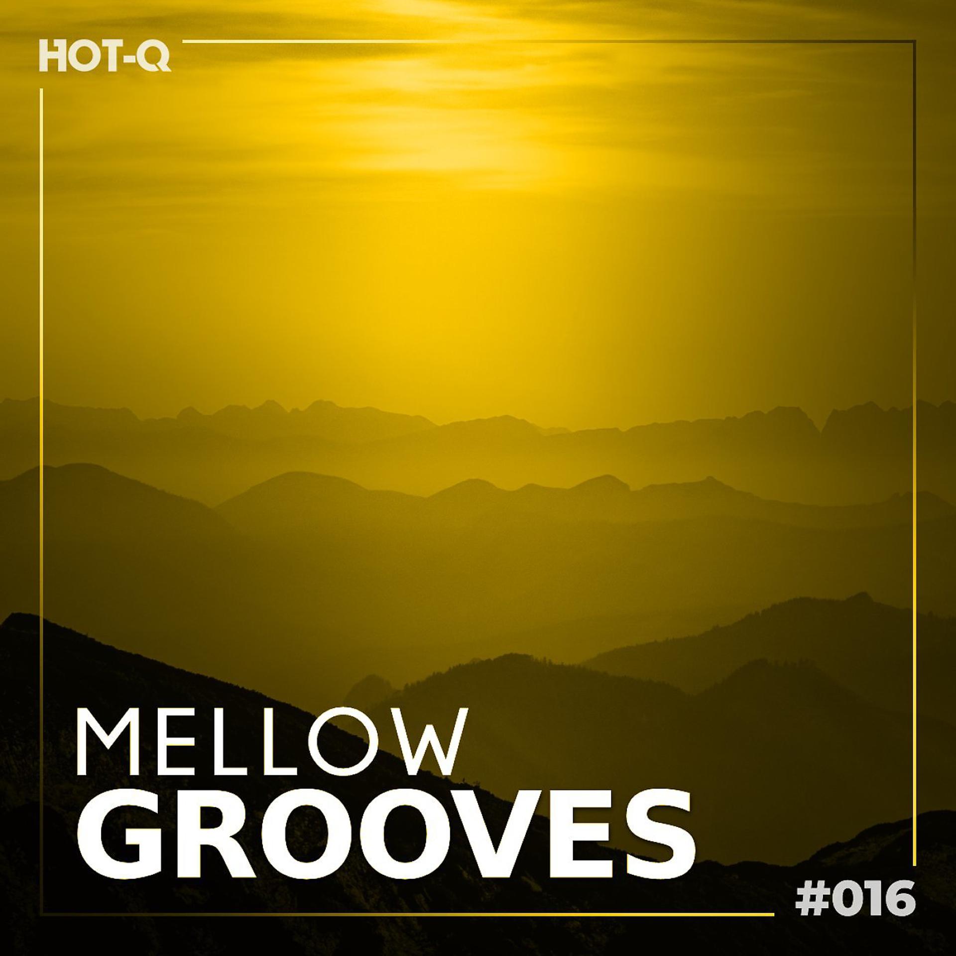 Постер альбома Mellow Grooves 016