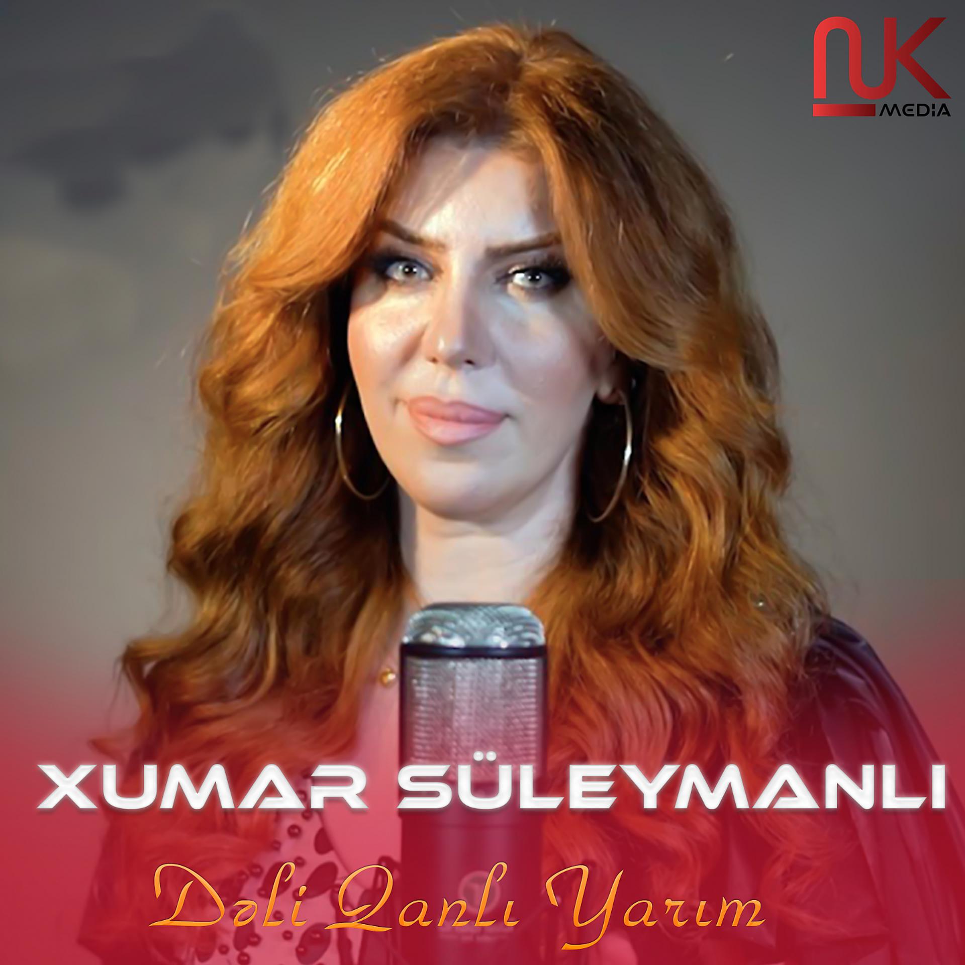 Постер альбома Dəli Qanlı Yarım