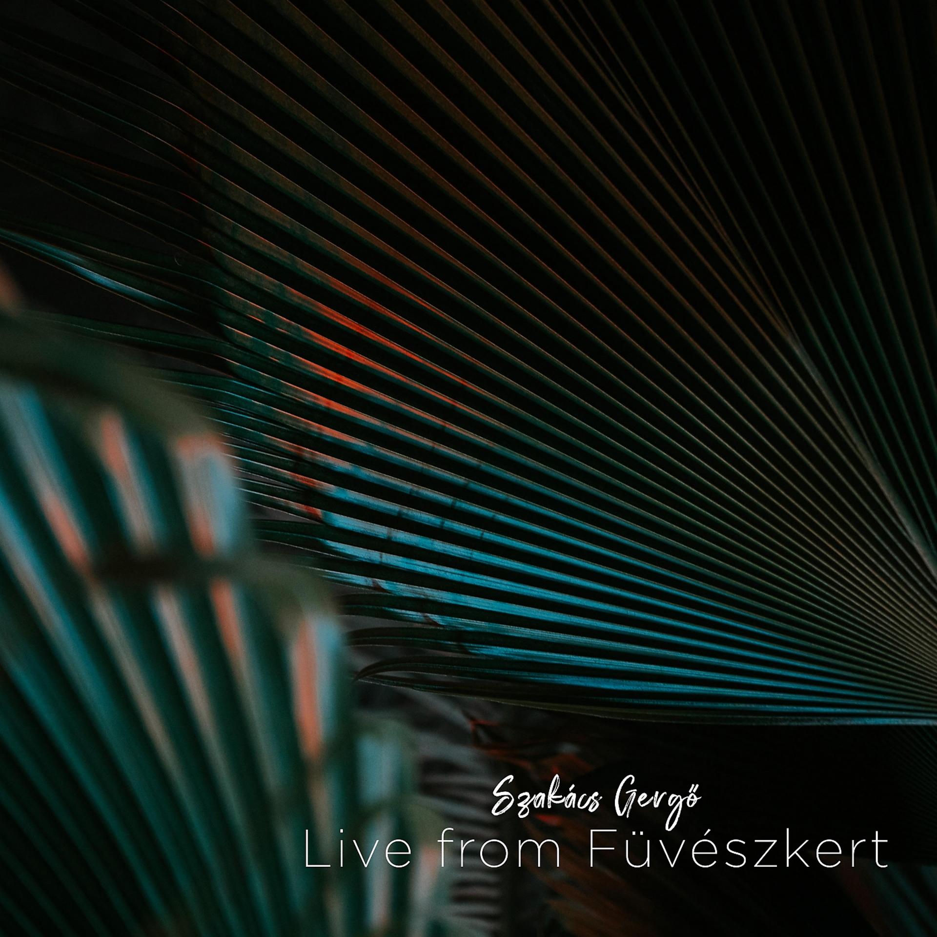 Постер альбома Live from Füvészkert