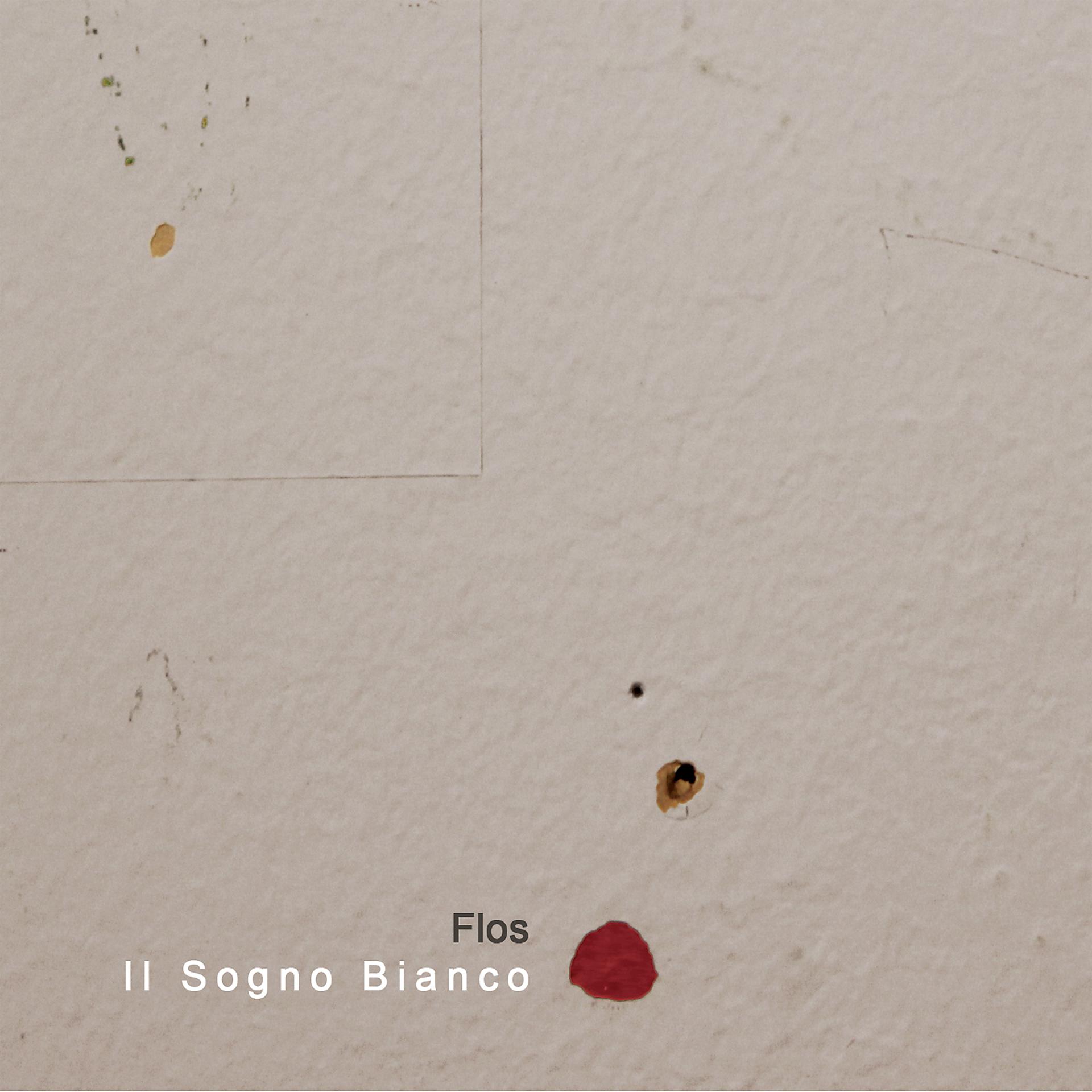 Постер альбома Il Sogno Bianco