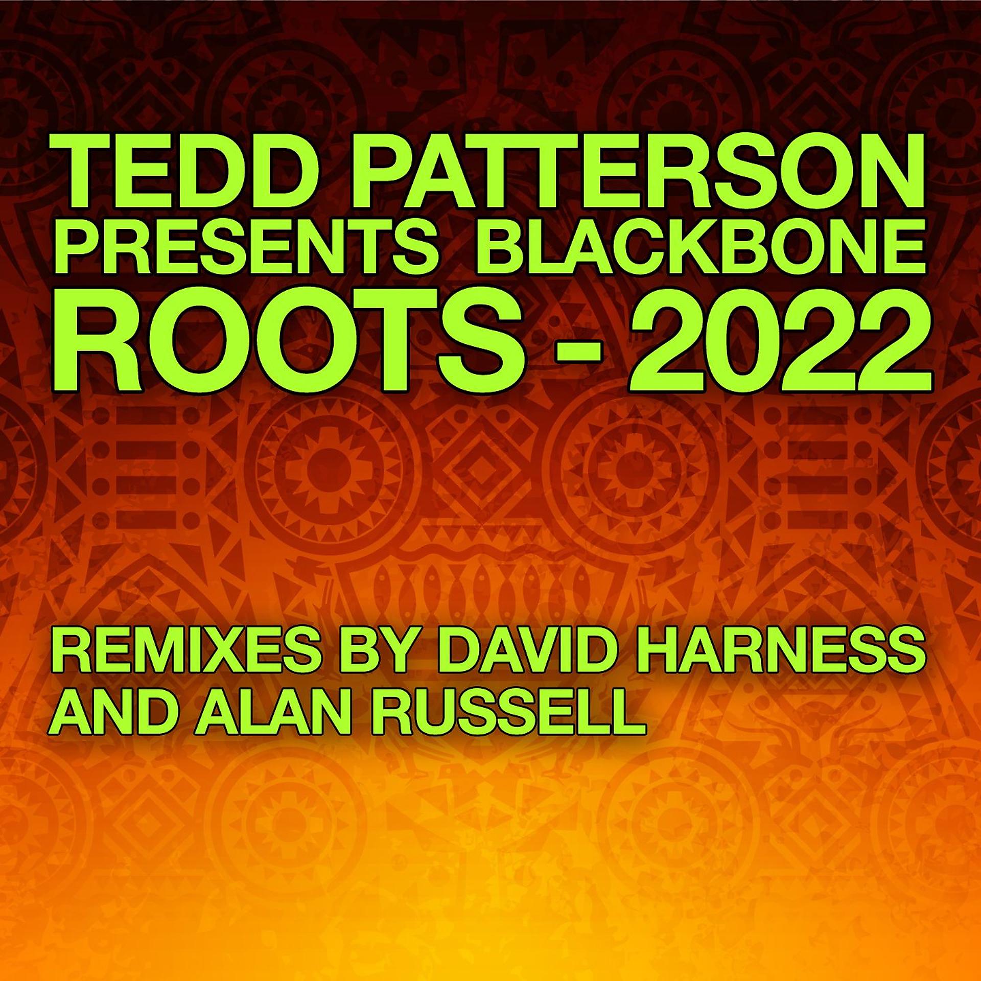 Постер альбома Roots - 2022 Remixes
