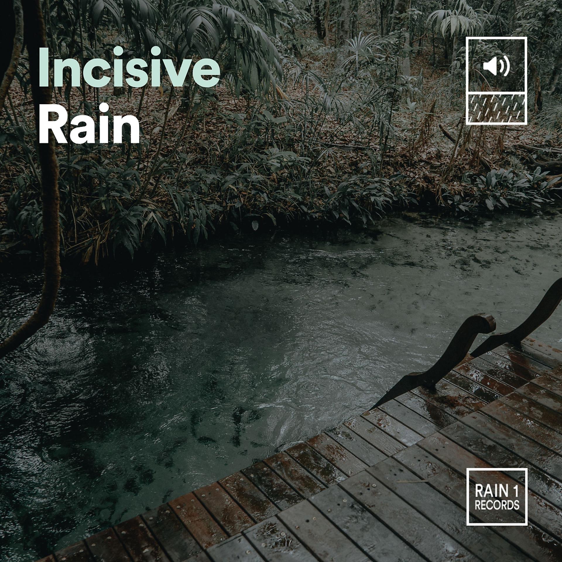 Постер альбома Incisive Rain