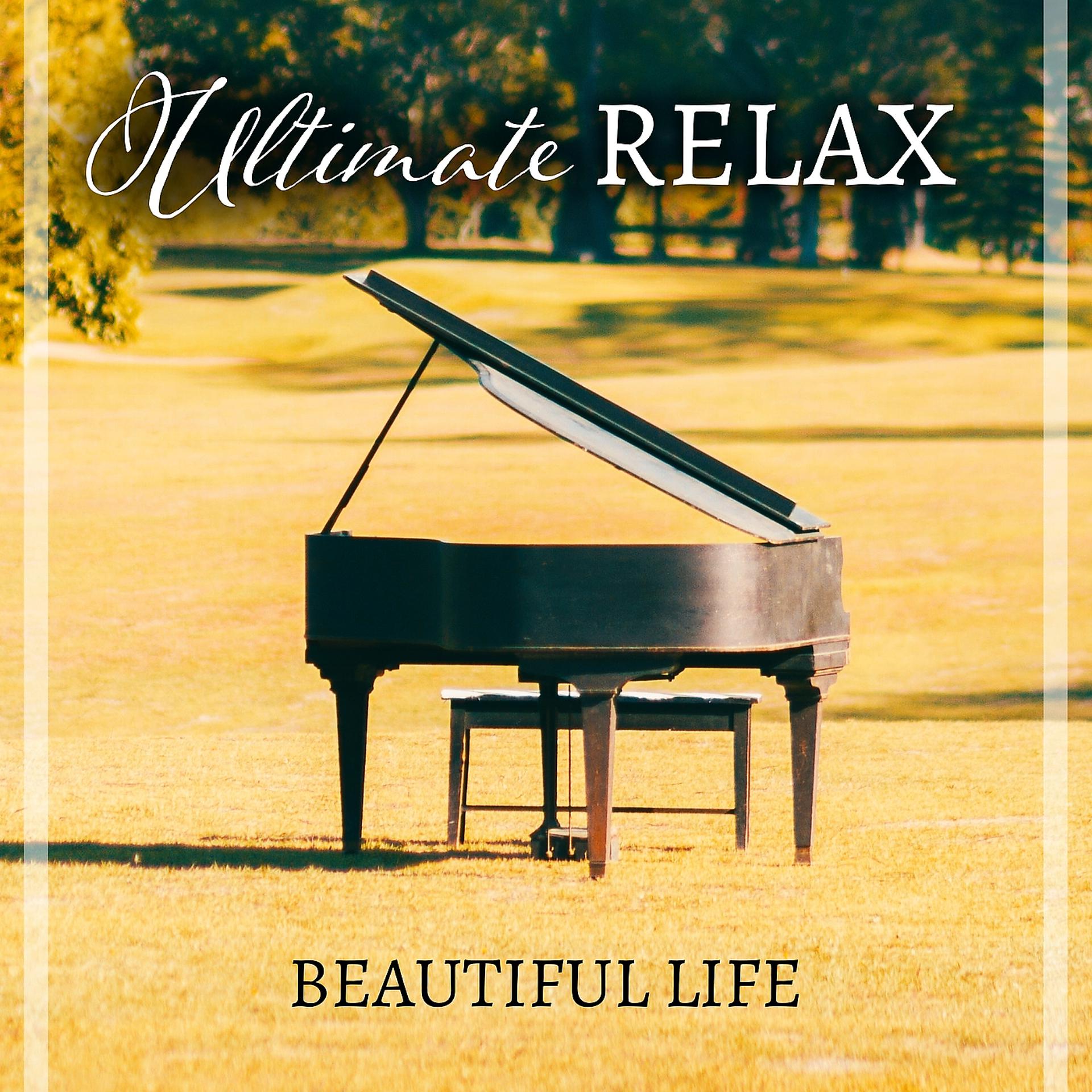 Постер альбома Ultimate Relax