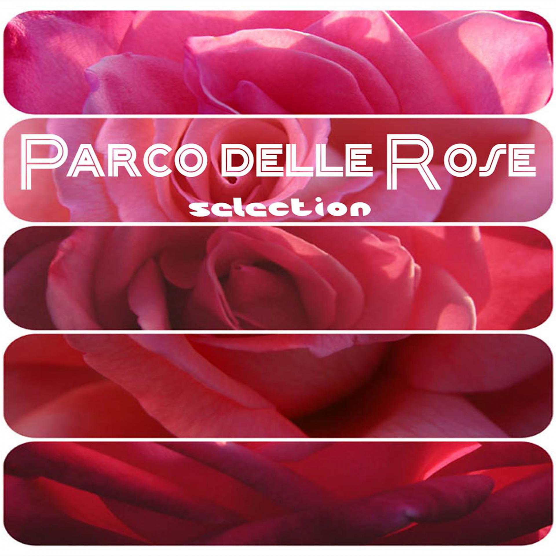 Постер альбома Parco delle rose