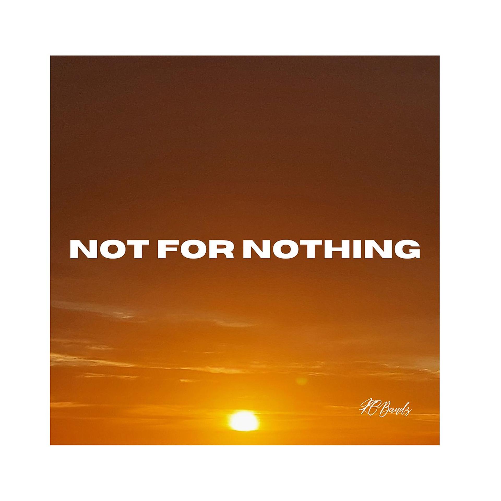 Постер альбома Not for Nothin'