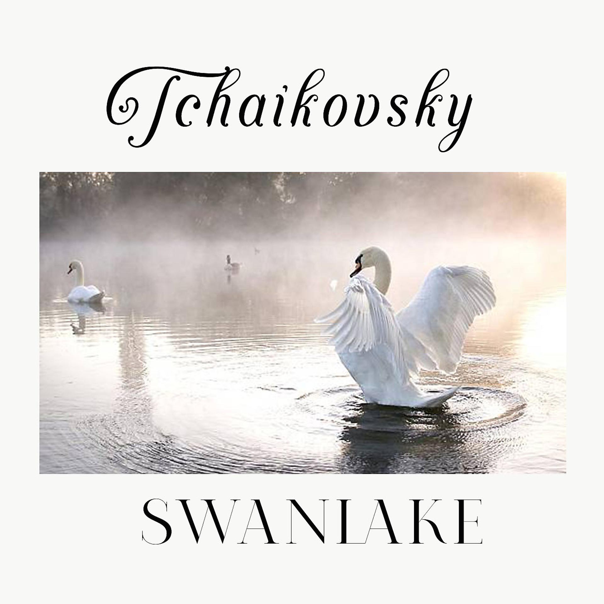 Постер альбома Tchaikovsky, Swanlake