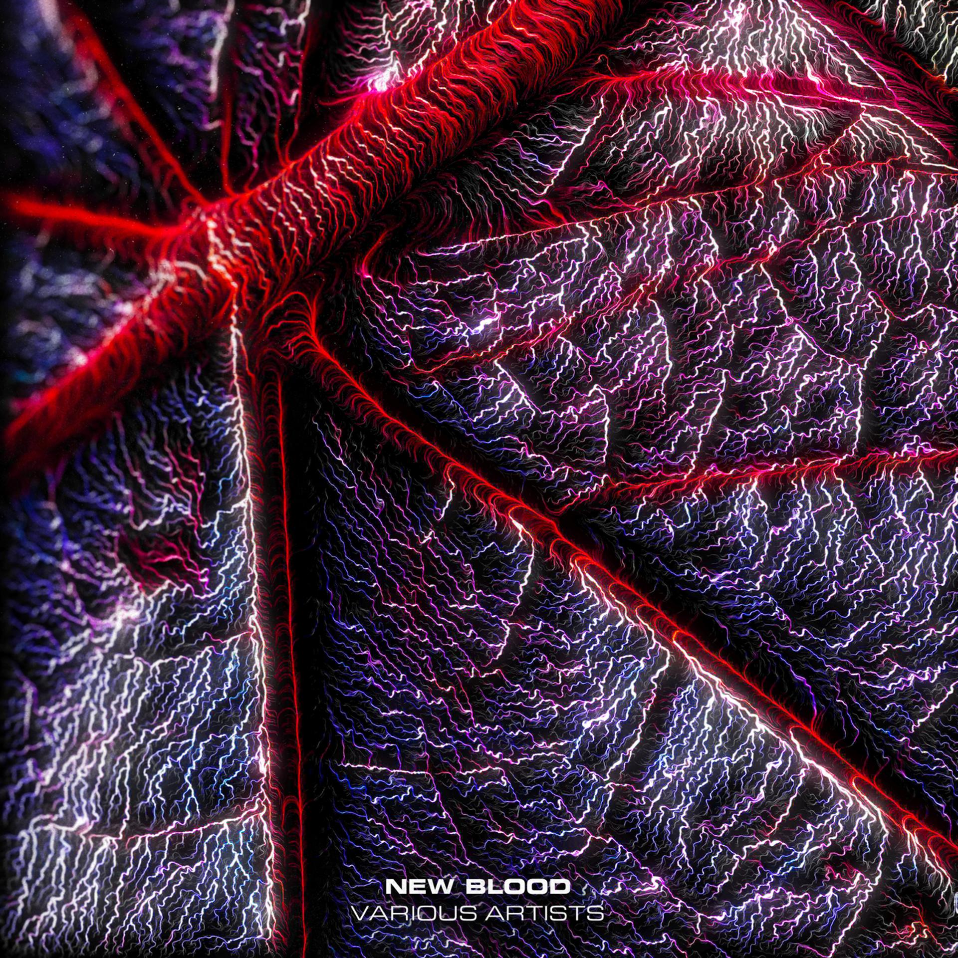 Постер альбома New Blood VA