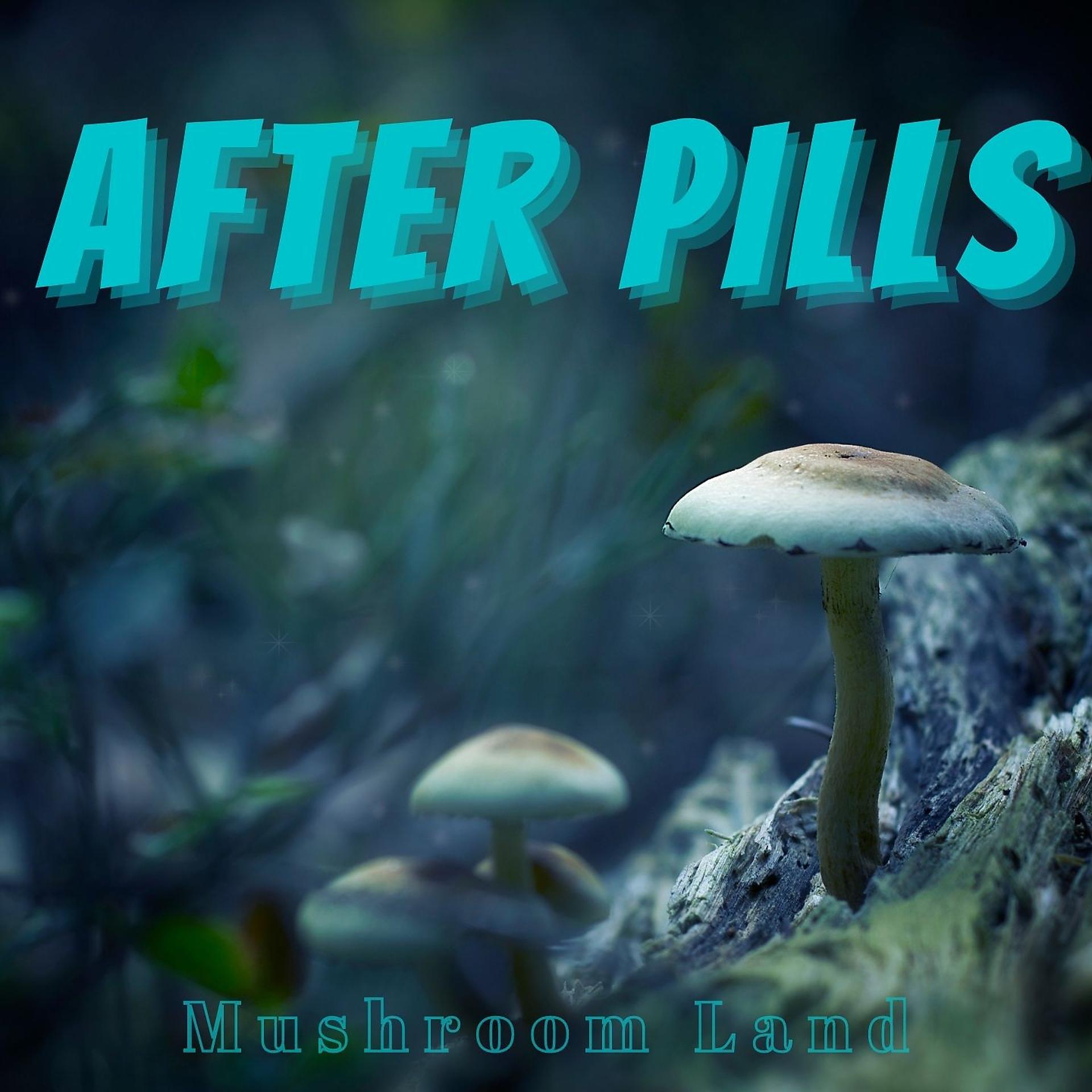 Постер альбома After Pills