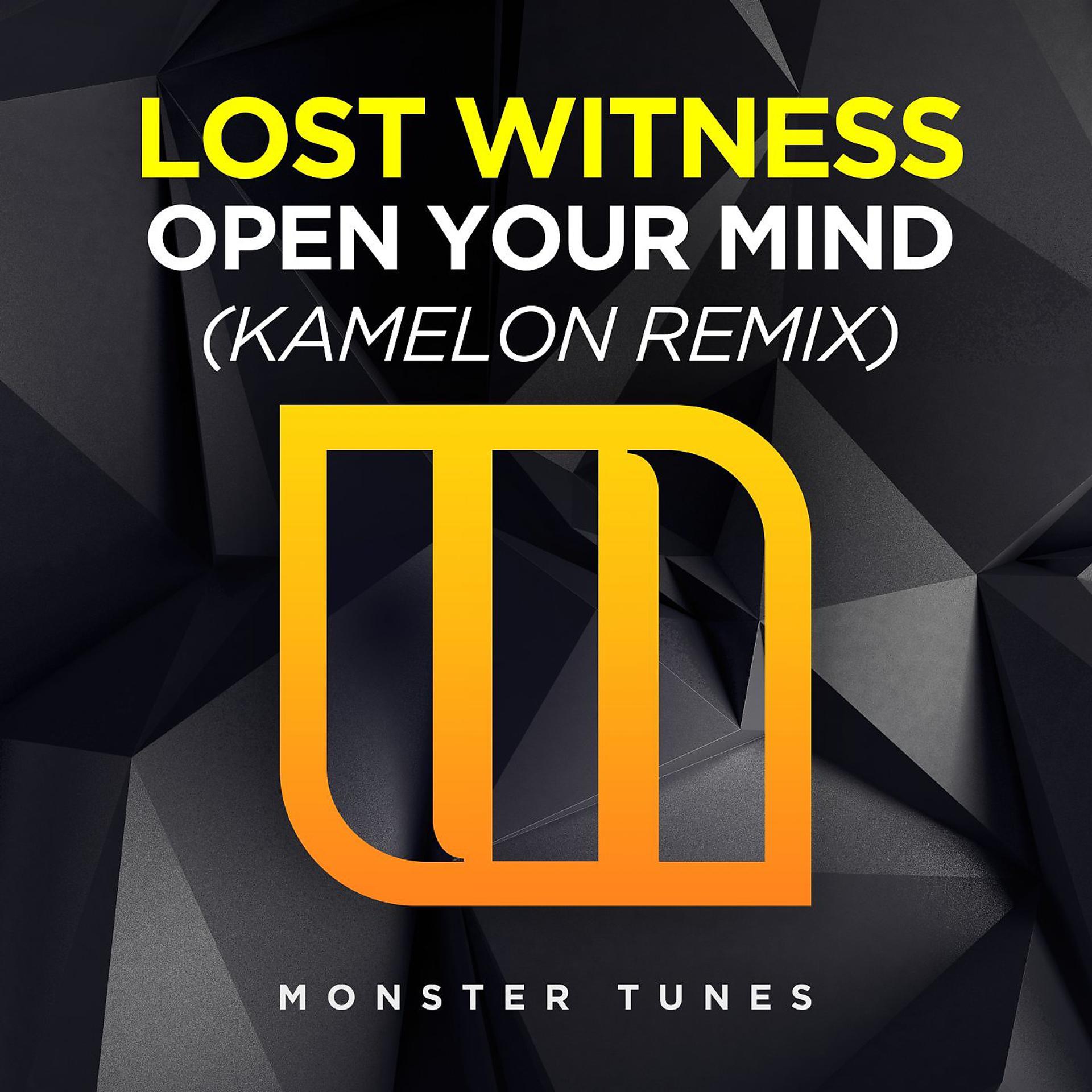 Постер альбома Open Your Mind (Kamelon Remix)