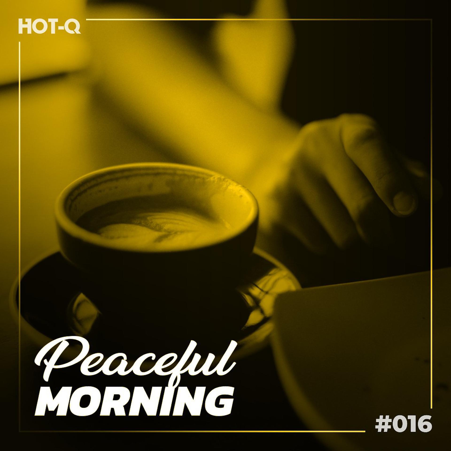 Постер альбома Peaceful Morning 016