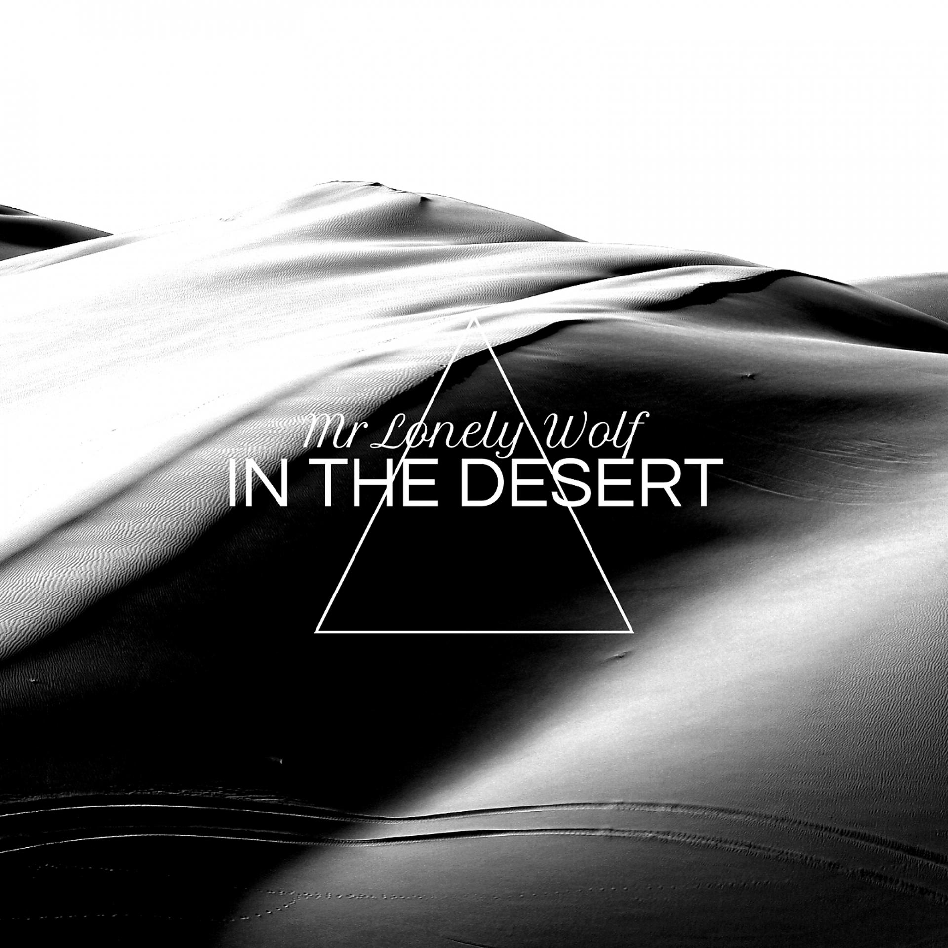 Постер альбома In the Desert