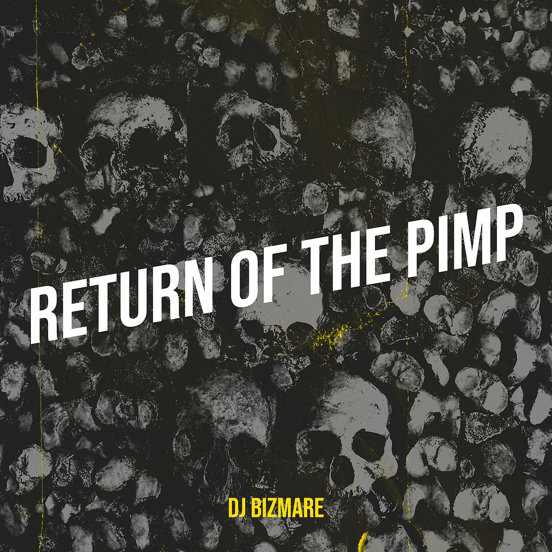 Постер альбома Return of the Pimp
