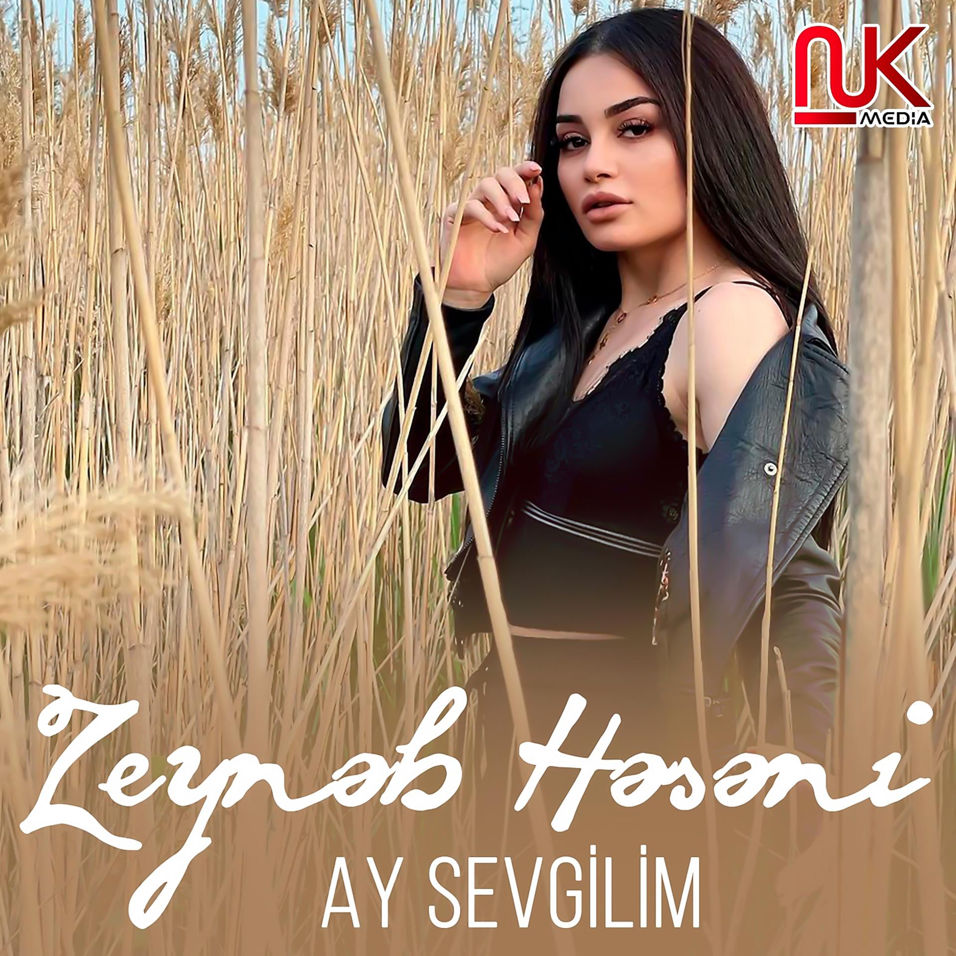 Постер альбома Ay Sevgilim
