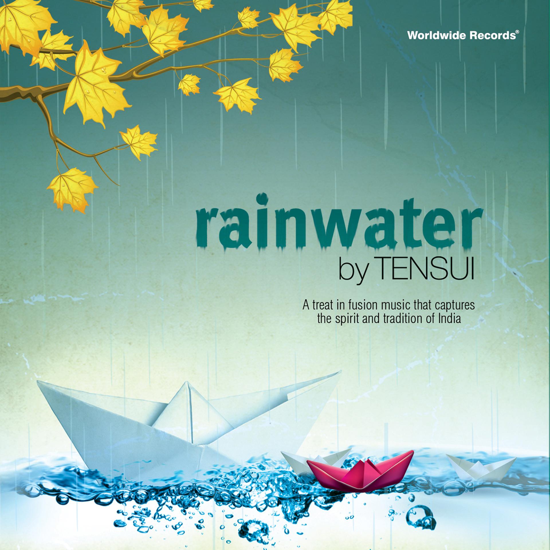 Постер альбома Rainwater