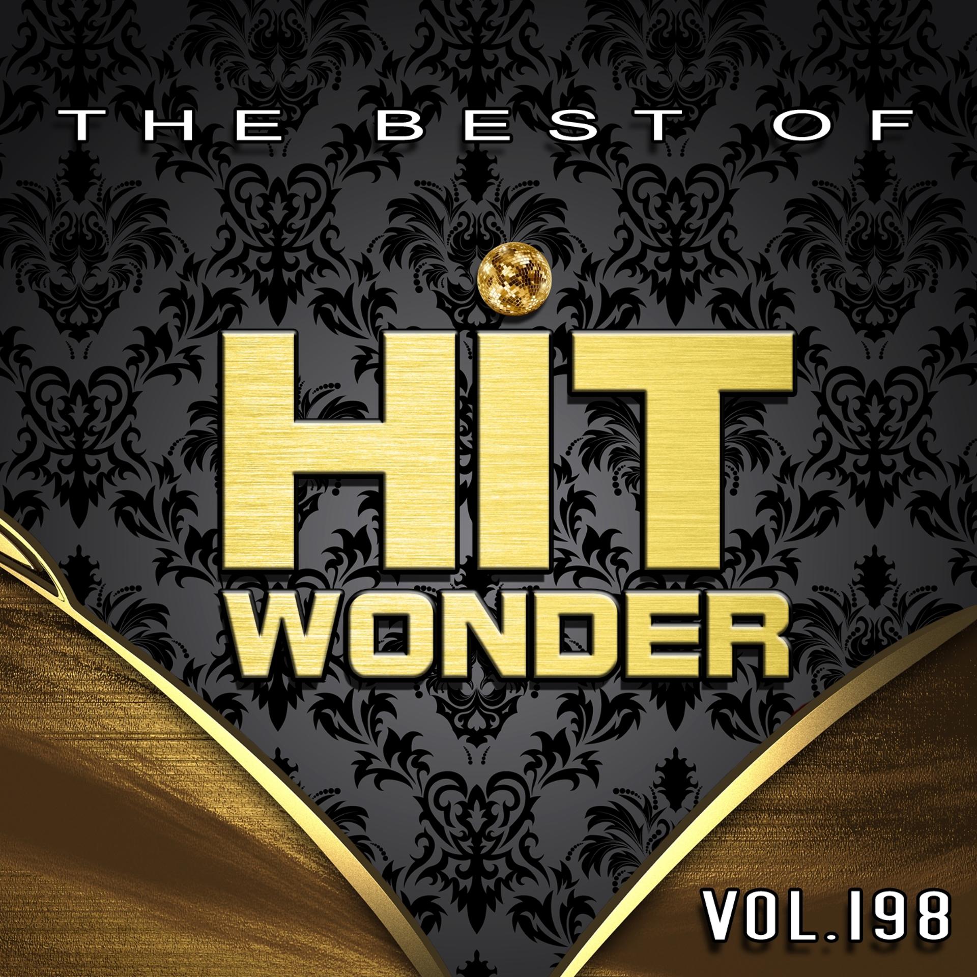 Постер альбома Hit Wonder: The Best of, Vol. 198