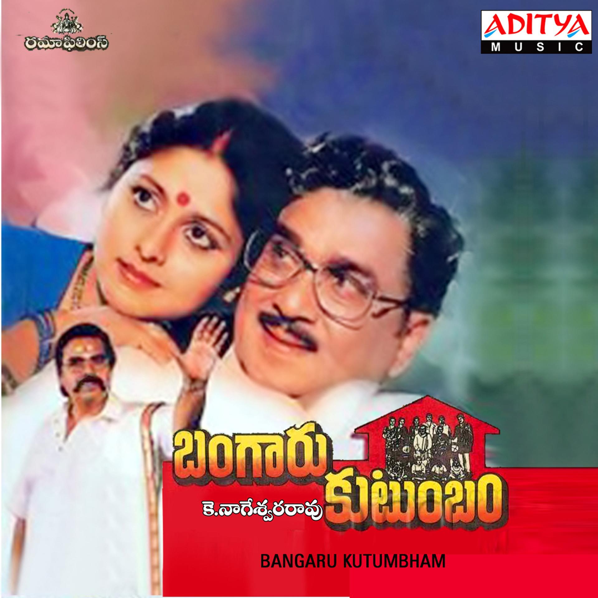 Постер альбома Bangaru Kutumbham