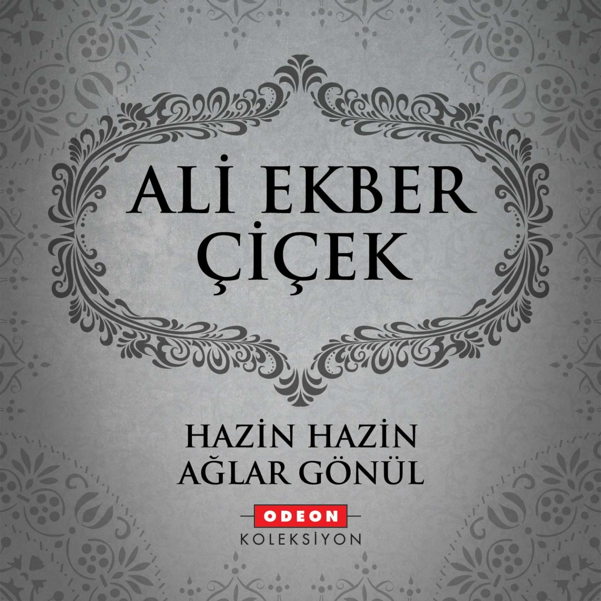 Постер альбома Hazin Hazin Ağlar Gönül