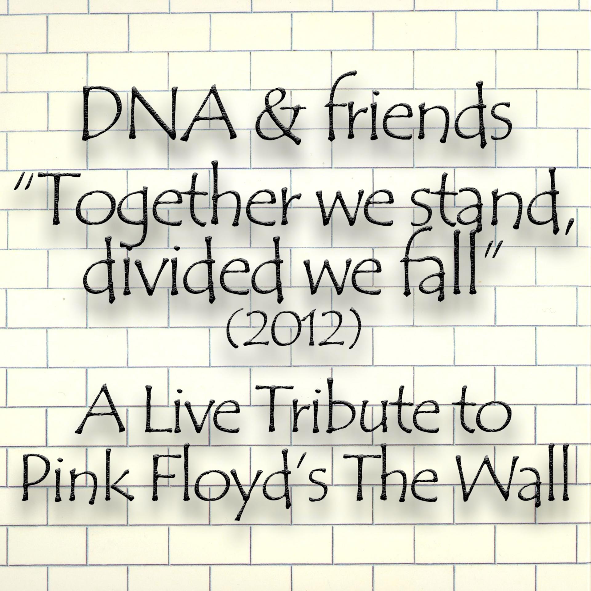 Постер альбома DNA & Friends Present a Live Tribute to Pink Floyd's The Wall 2012