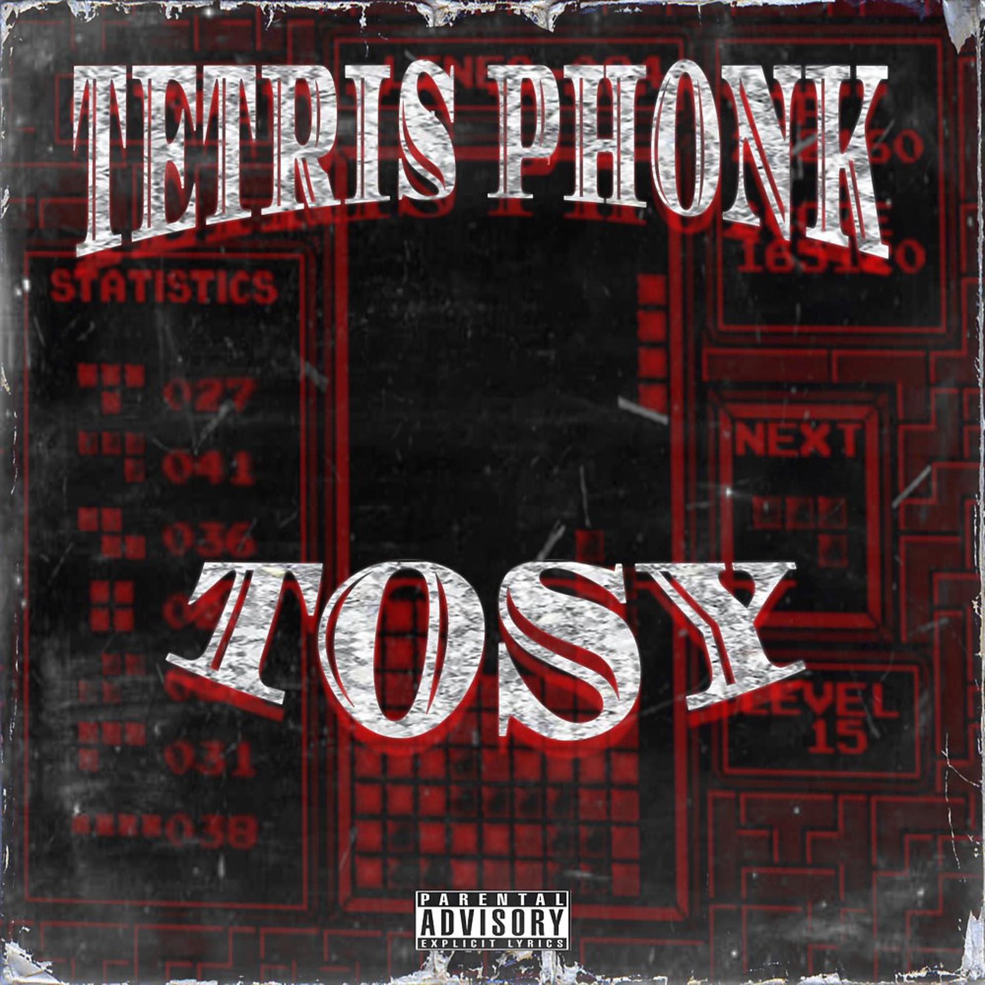 Постер альбома Tetris Phonk