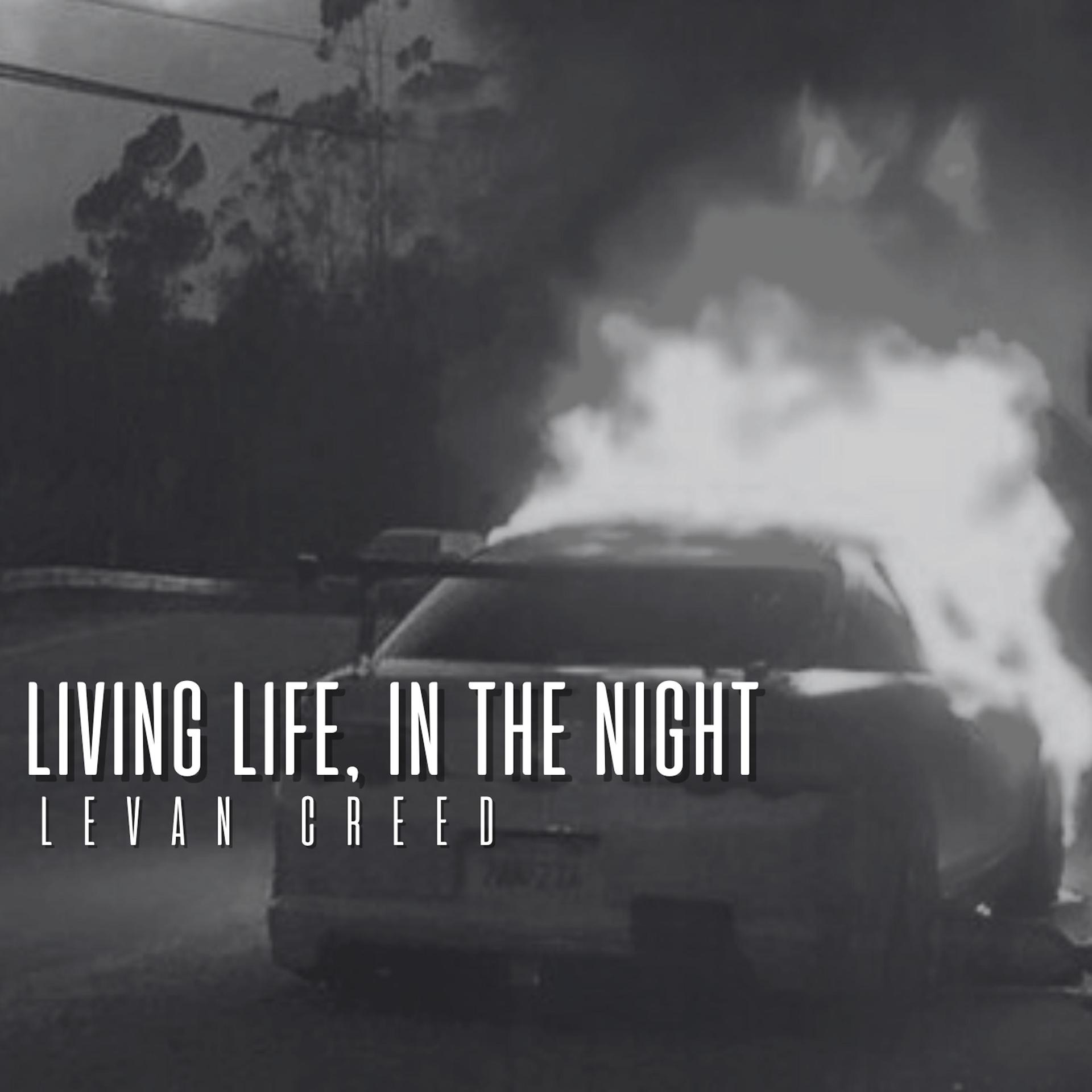 Постер альбома Living Life, In The Night
