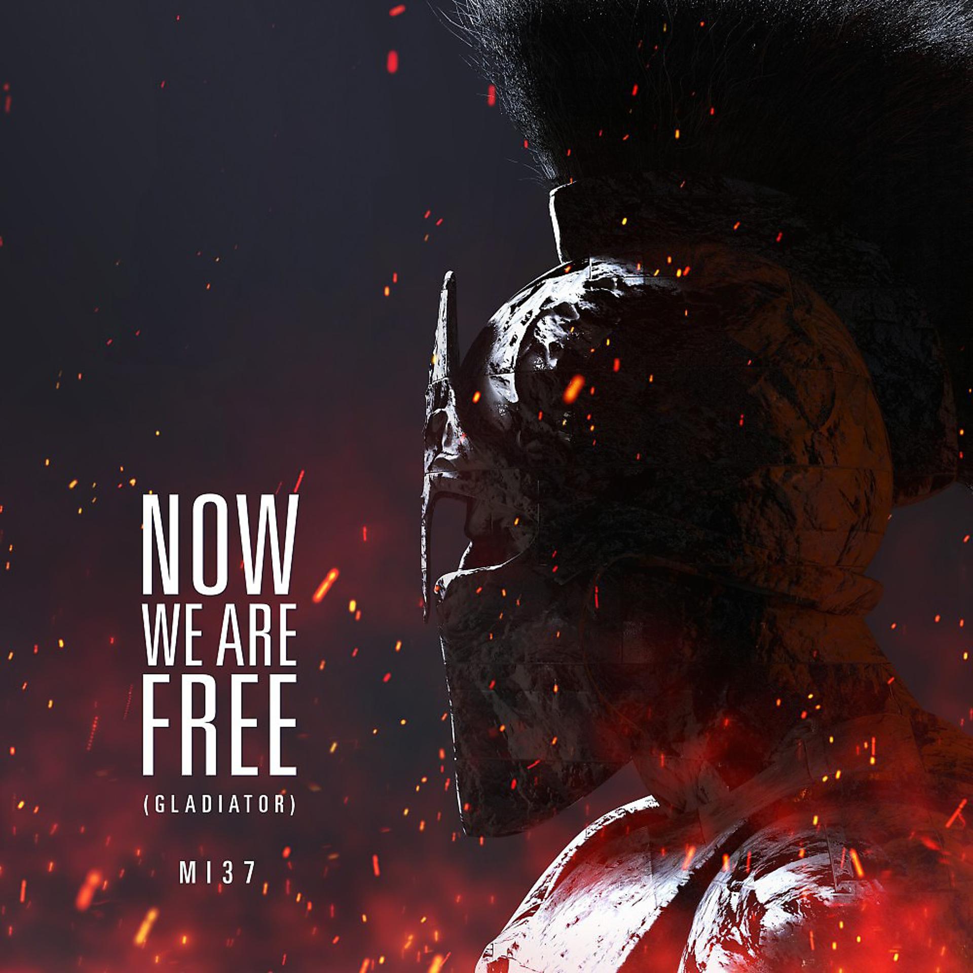 Постер альбома Now We Are Free (Gladiator)