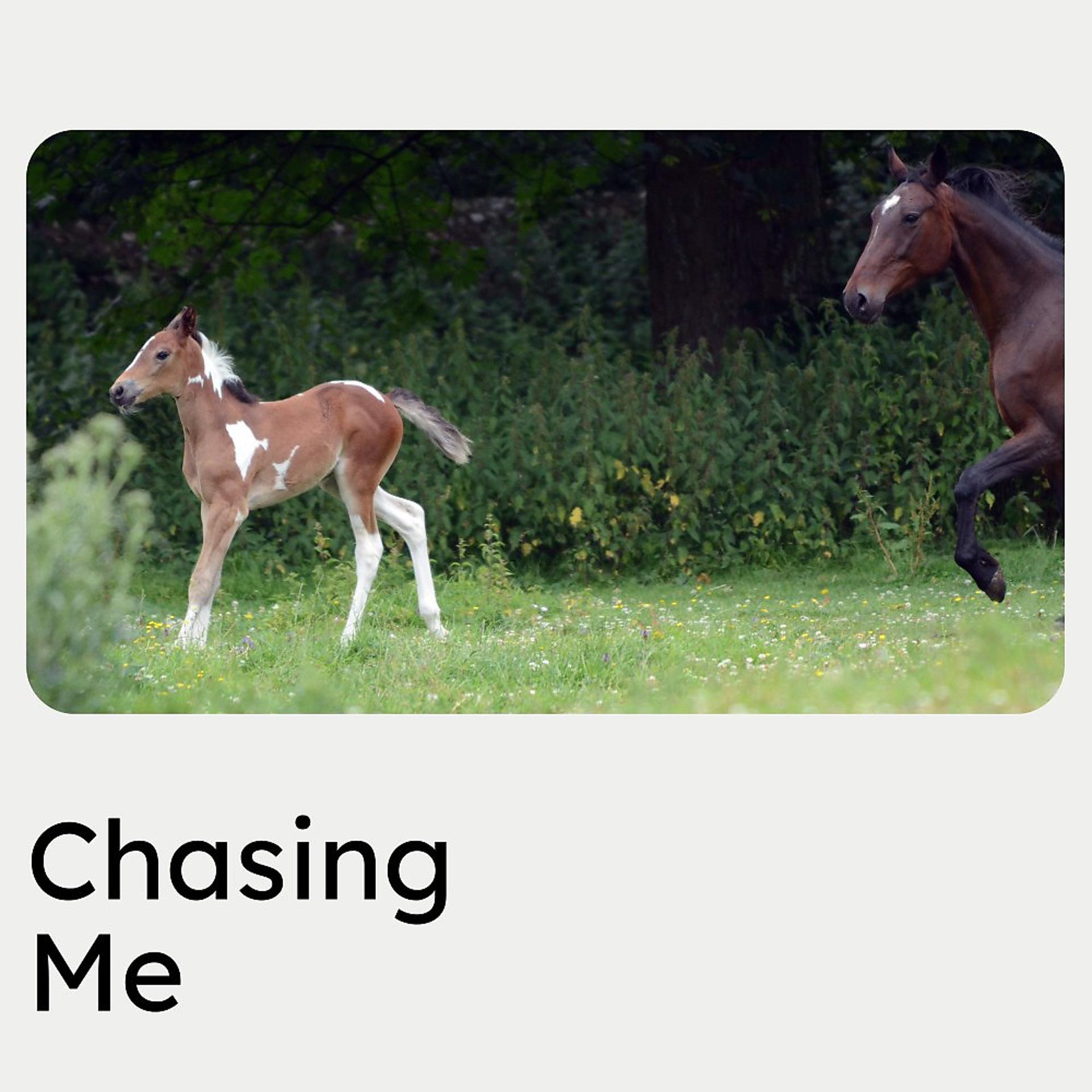Постер альбома Chasing Me