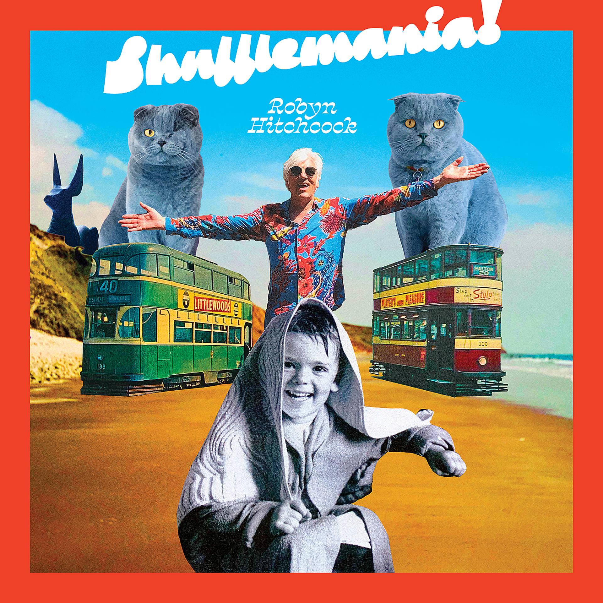 Постер альбома Shufflemania