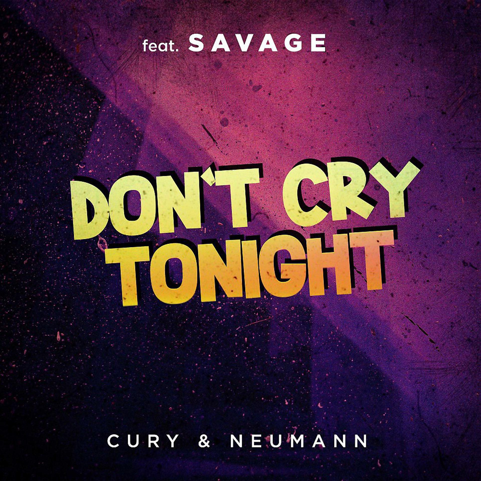 Постер альбома Don't Cry Tonight (Remix)