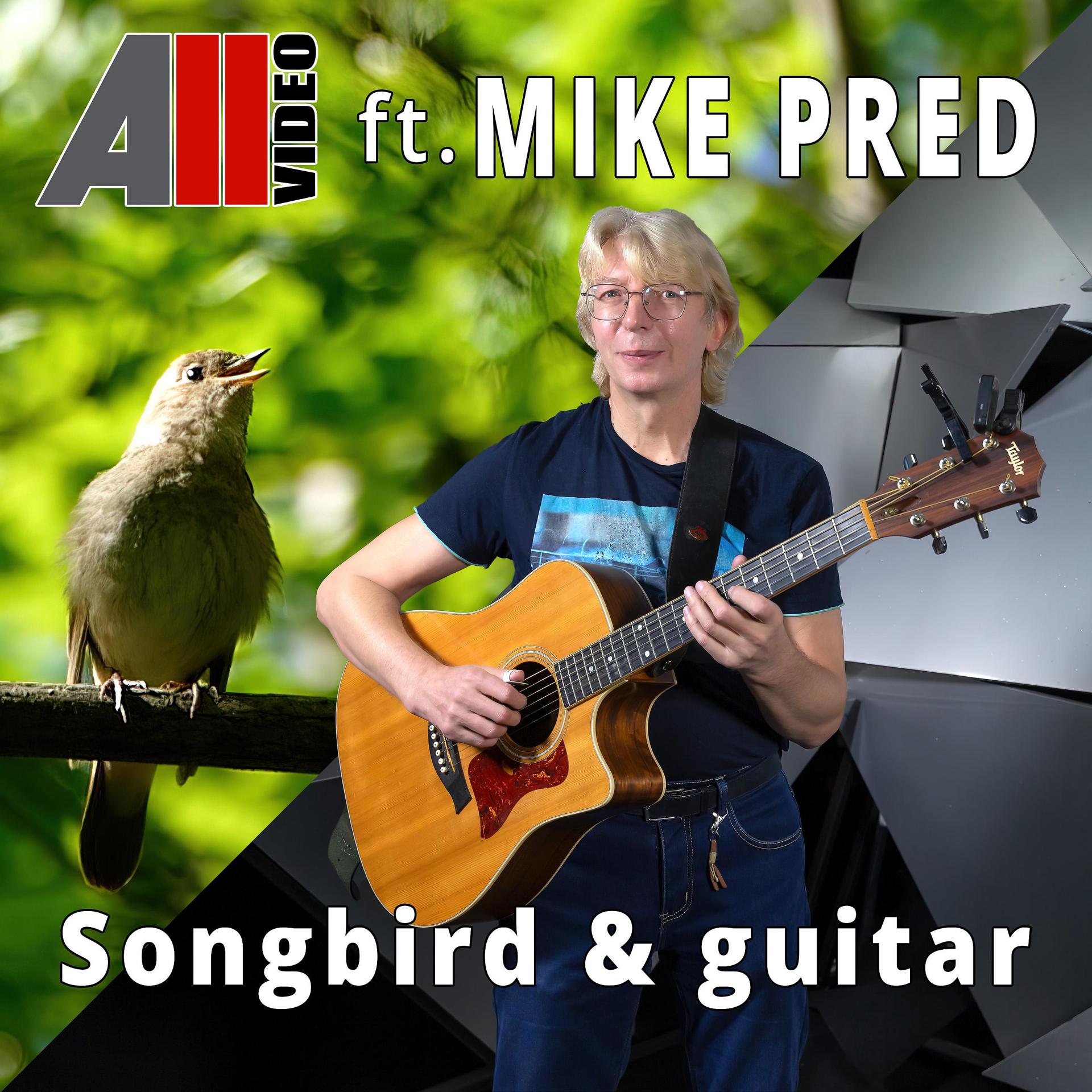 Постер к треку AllVideo, Mike Pred - Songbird and guitar