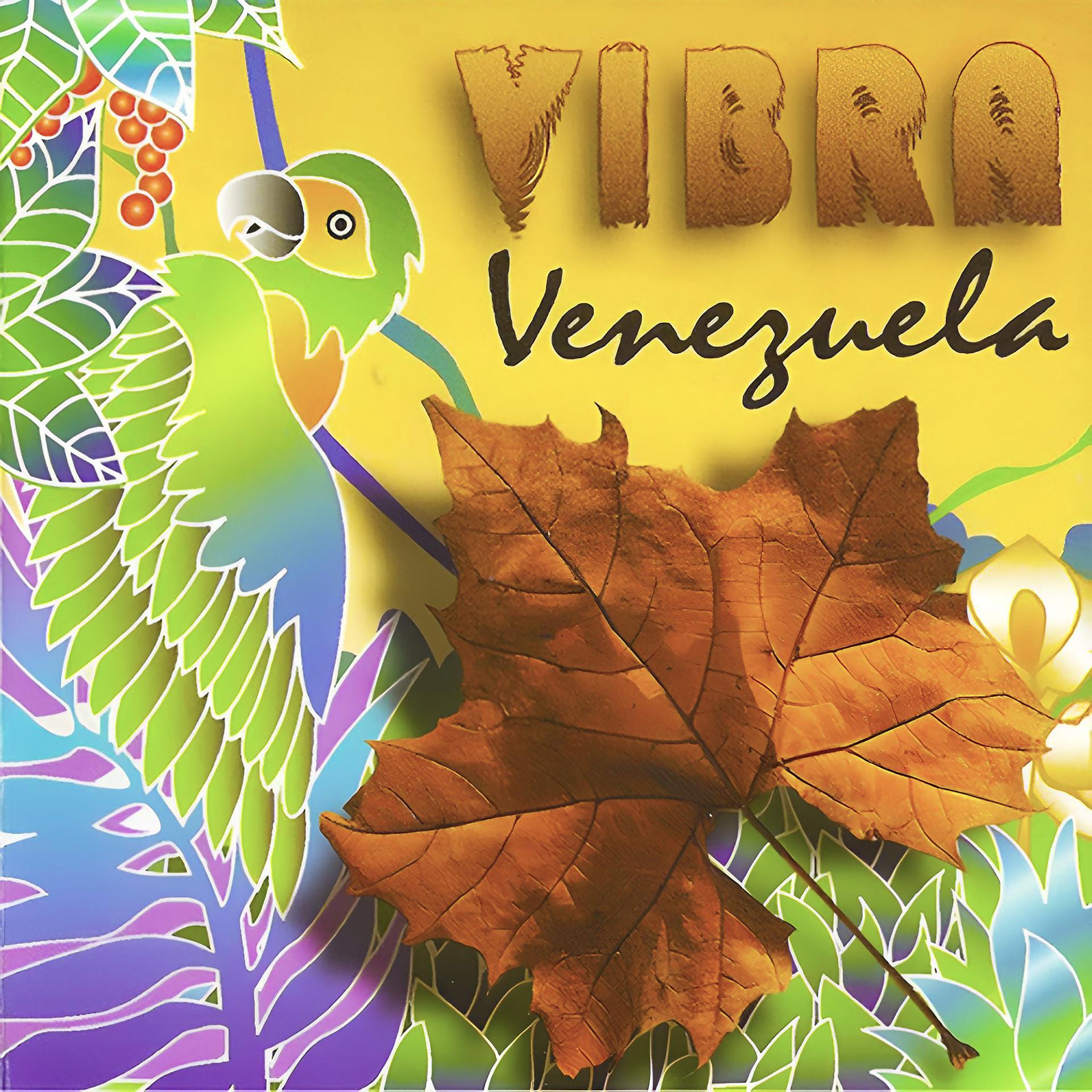 Постер альбома Vibra Venezuela