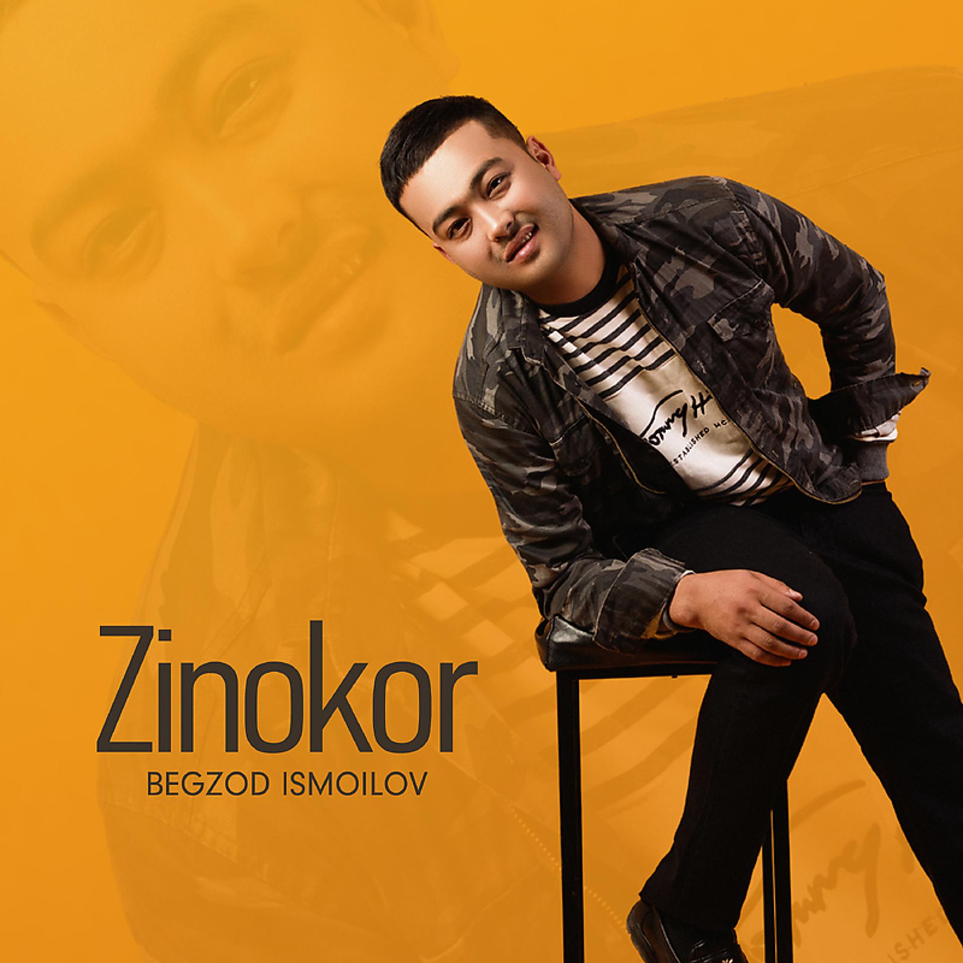 Постер альбома Zinokor