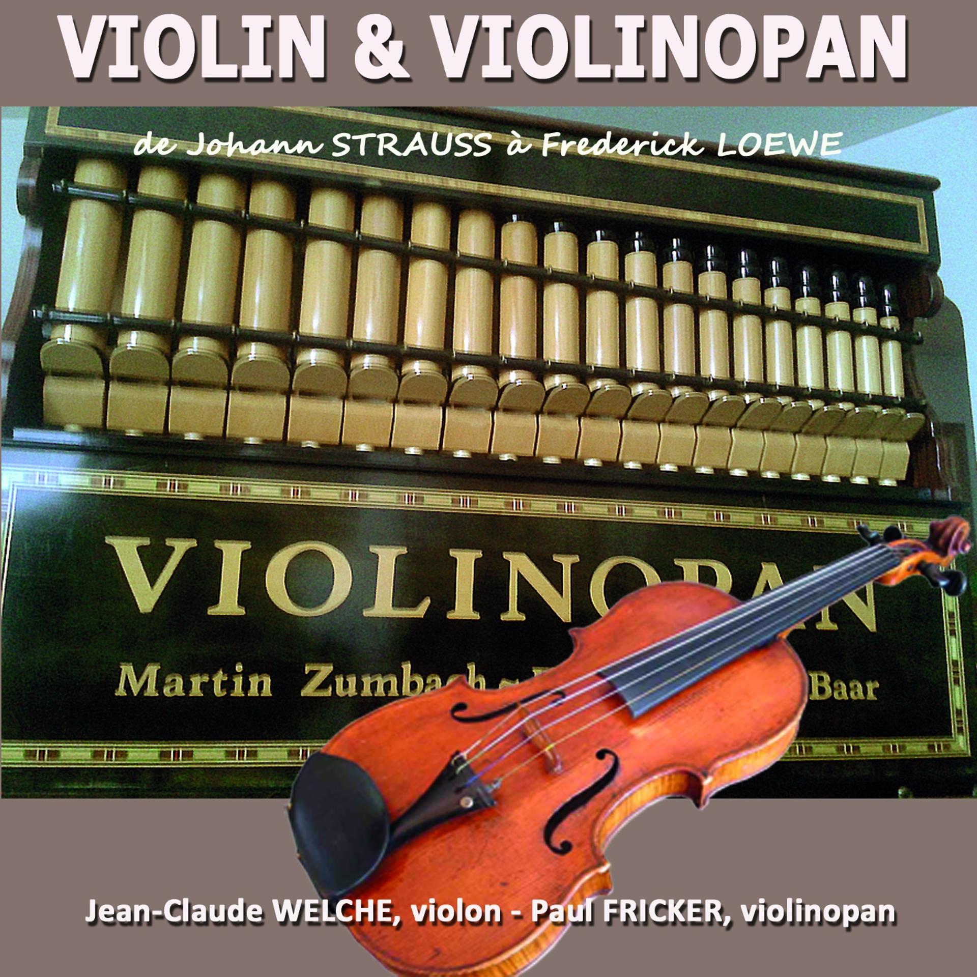 Постер альбома Violin & Violinopan