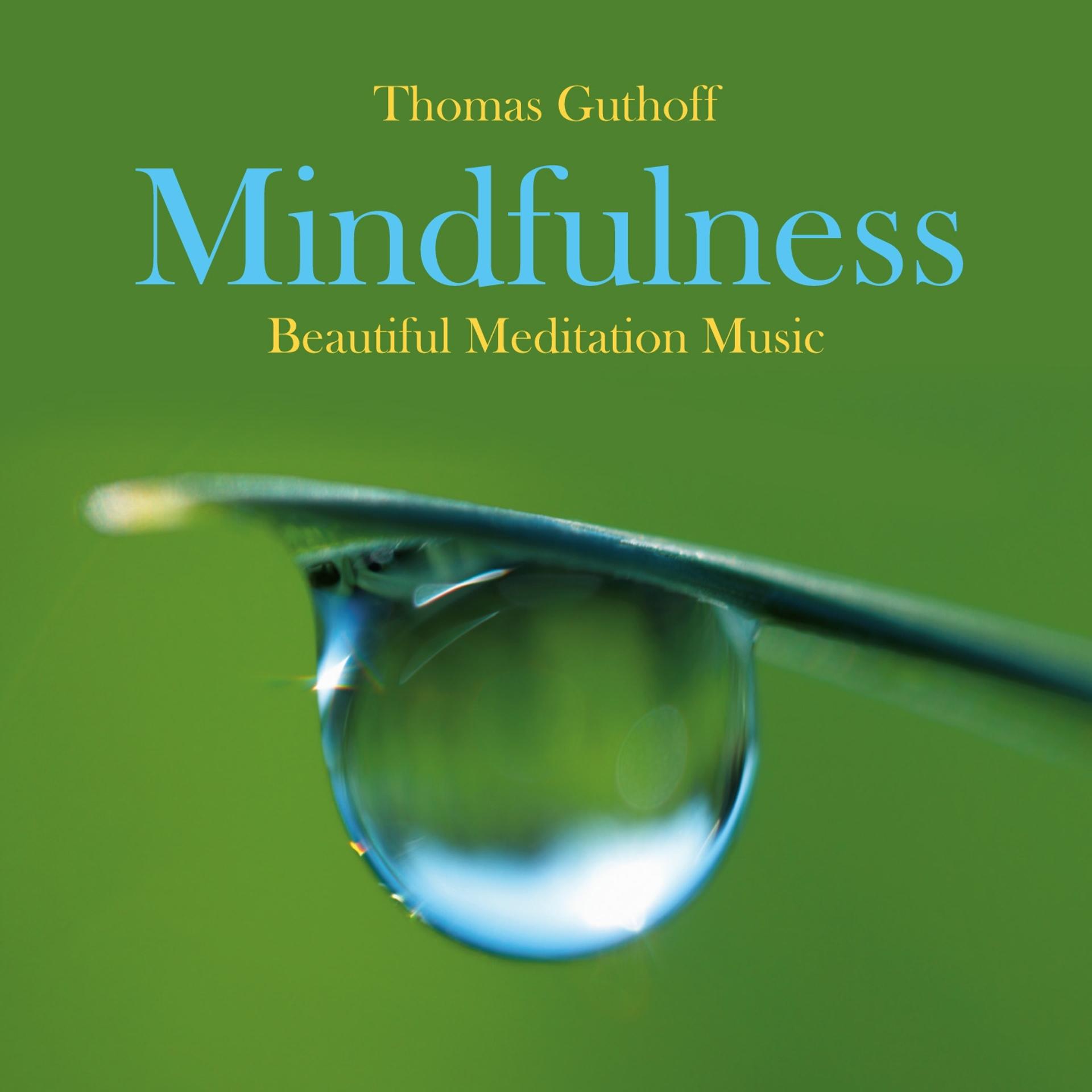 Постер альбома Mindfulness: Beautiful Meditation Music