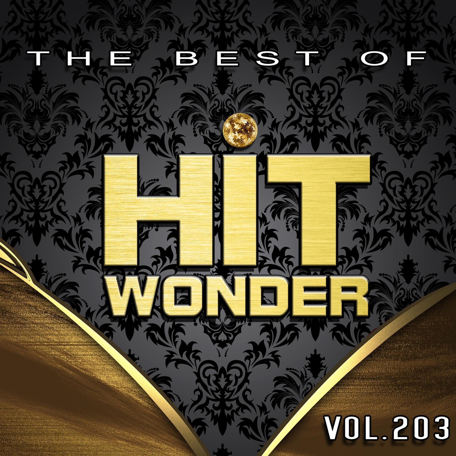 Постер альбома Hit Wonder: The Best of, Vol. 203