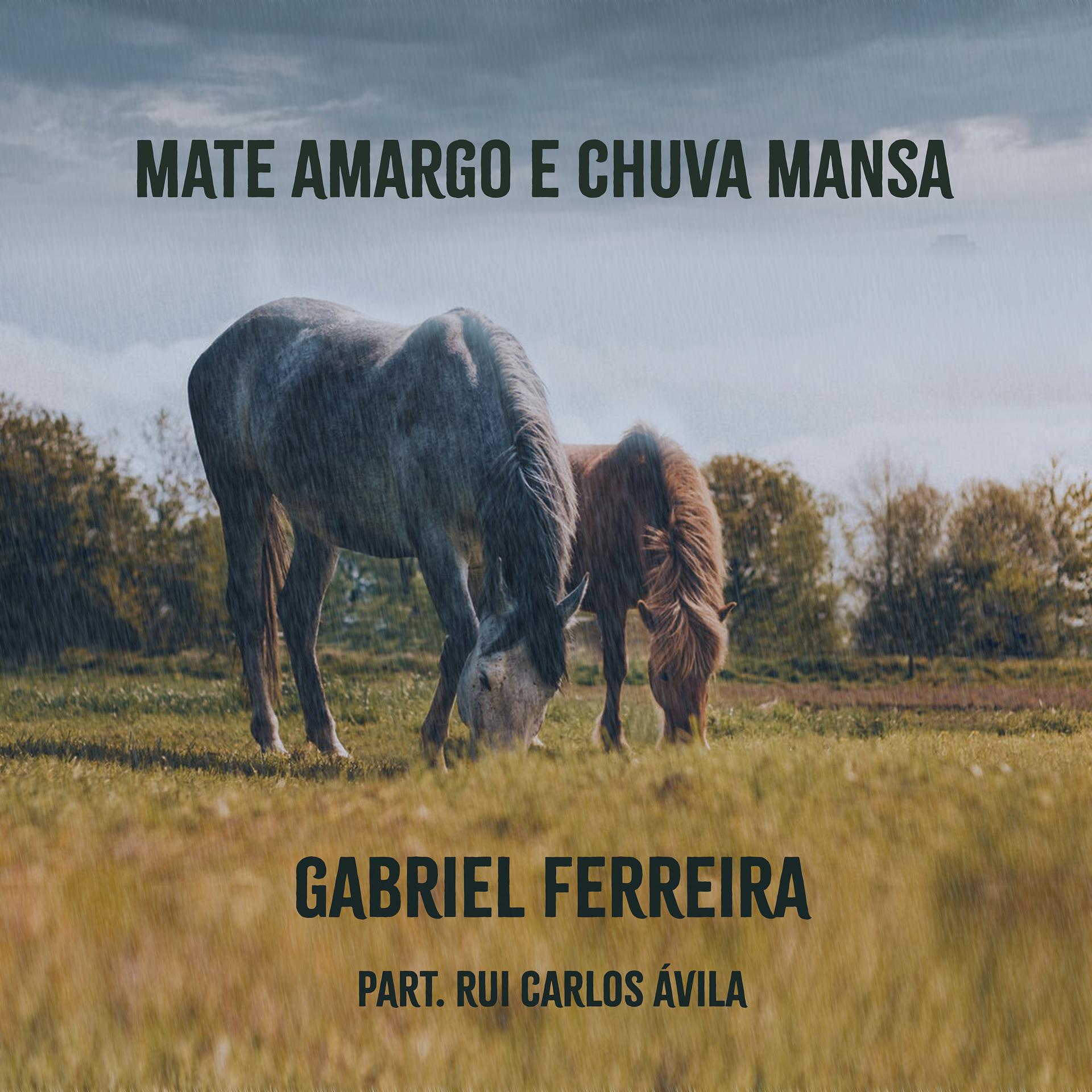 Постер альбома Mate Amargo e Chuva Mansa