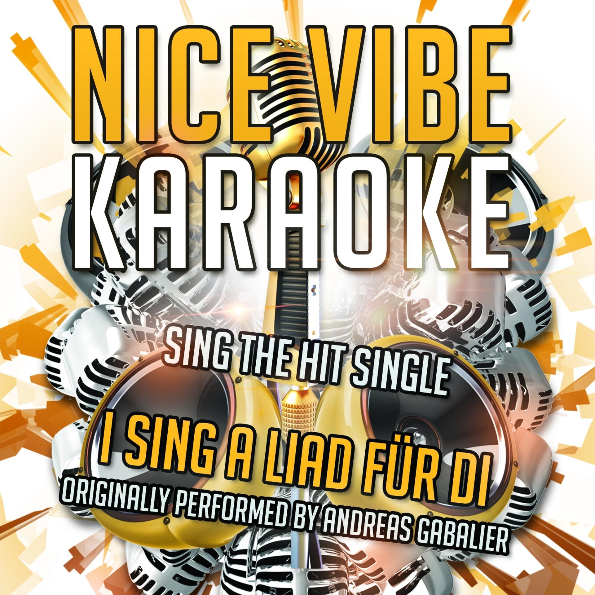 Постер альбома I Sing A Liad Für Di (Originally Performed By Andreas Gabalier) (Karaoke Version)