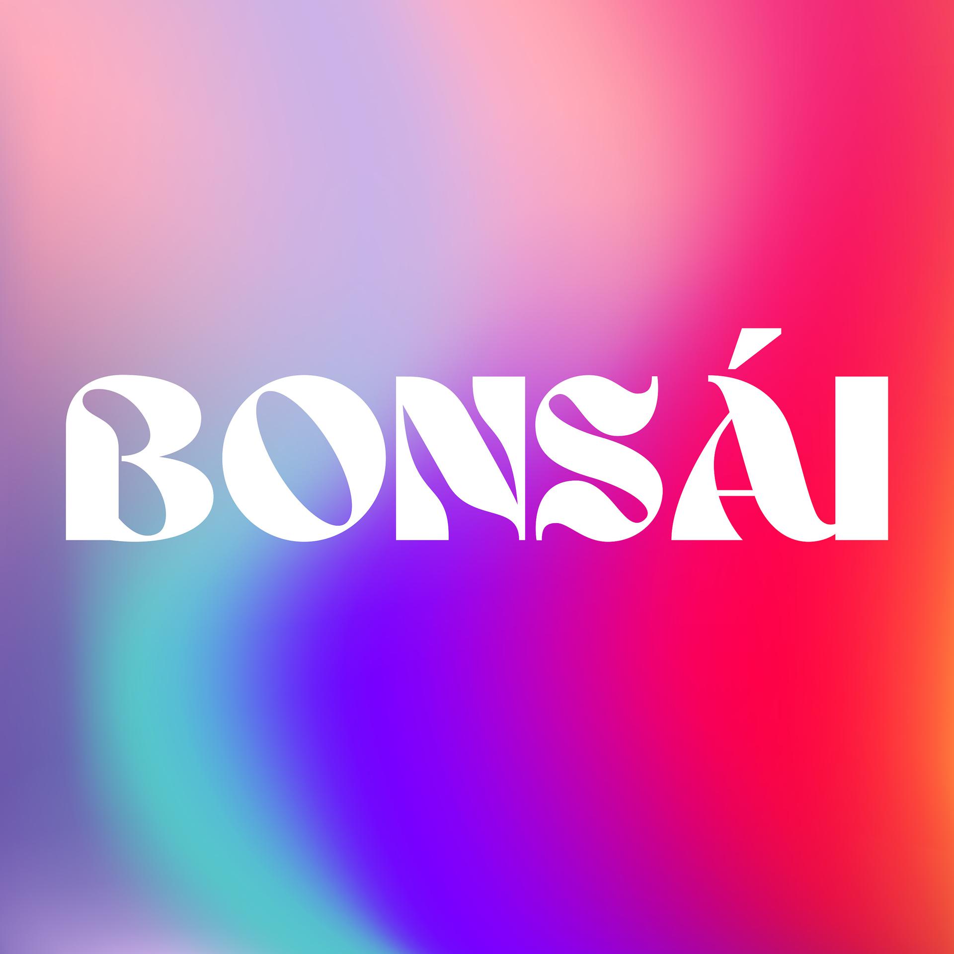 Постер альбома Bonsái
